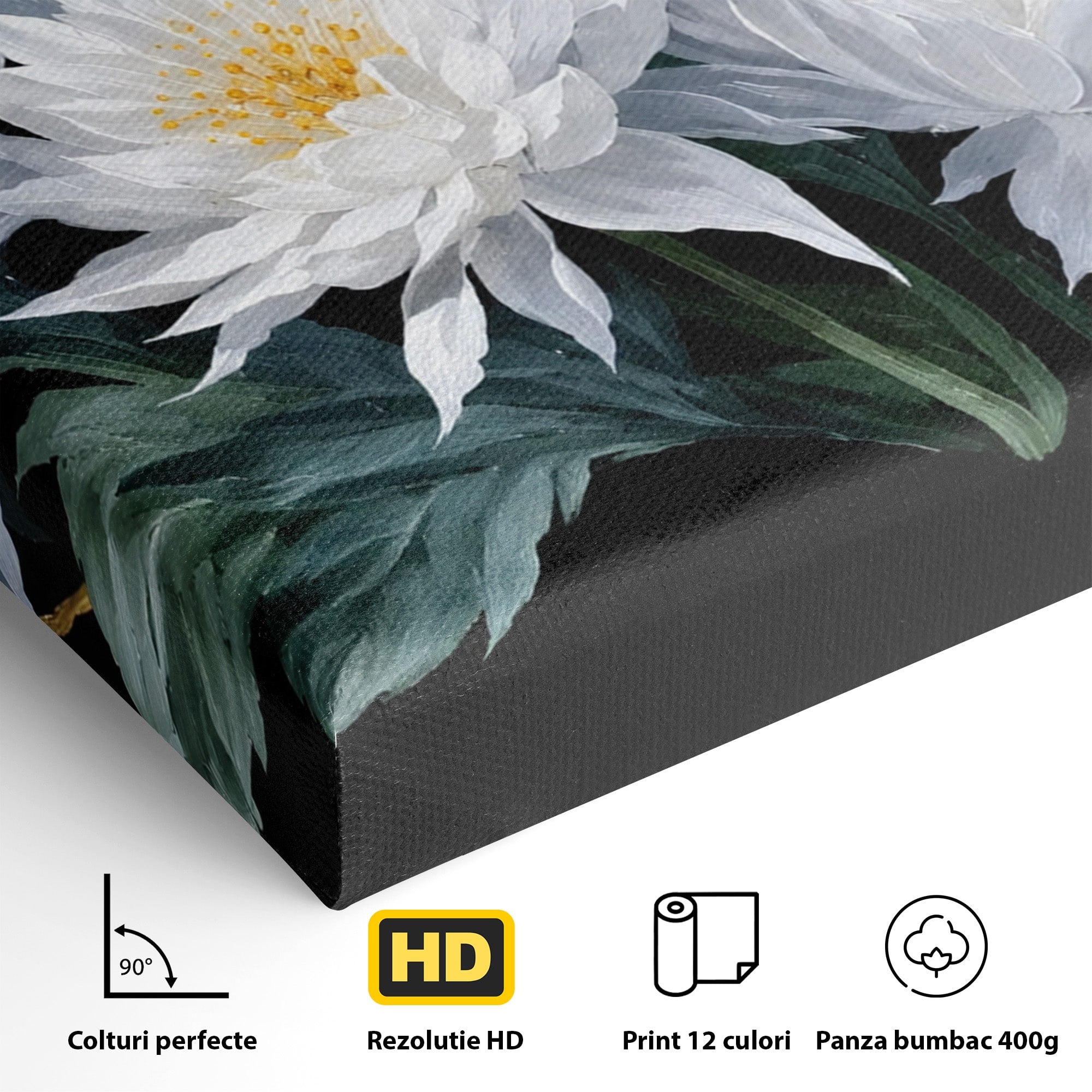 Tablou Canvas Premium LuxCanva® A1781, Flori Albe Elegante, Flori, Eleganta, Natura, Living, Dormitor, Culori Vibrante