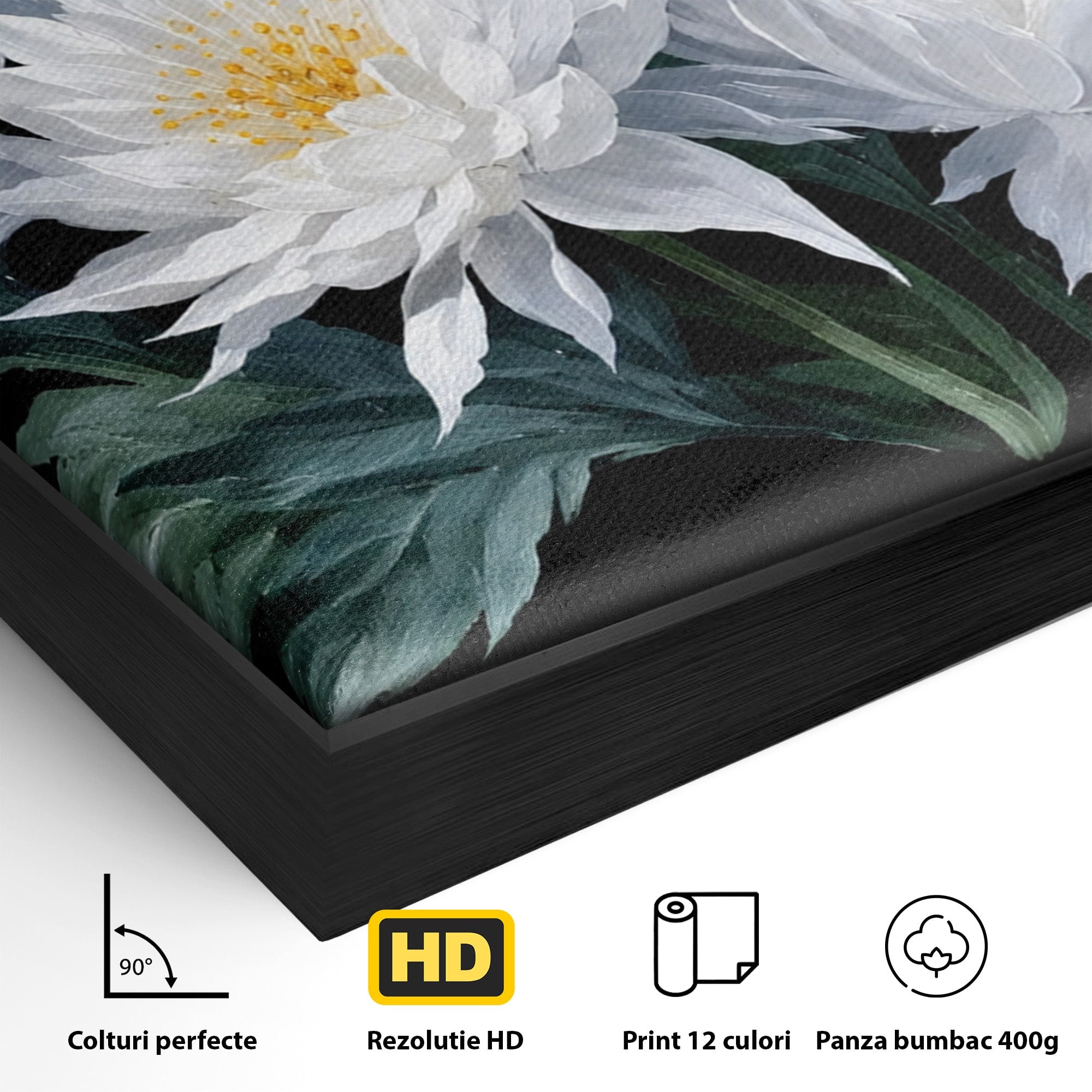 Tablou Canvas Premium LuxCanva® A1781, Flori Albe Elegante, Flori, Eleganta, Natura, Living, Dormitor, Culori Vibrante