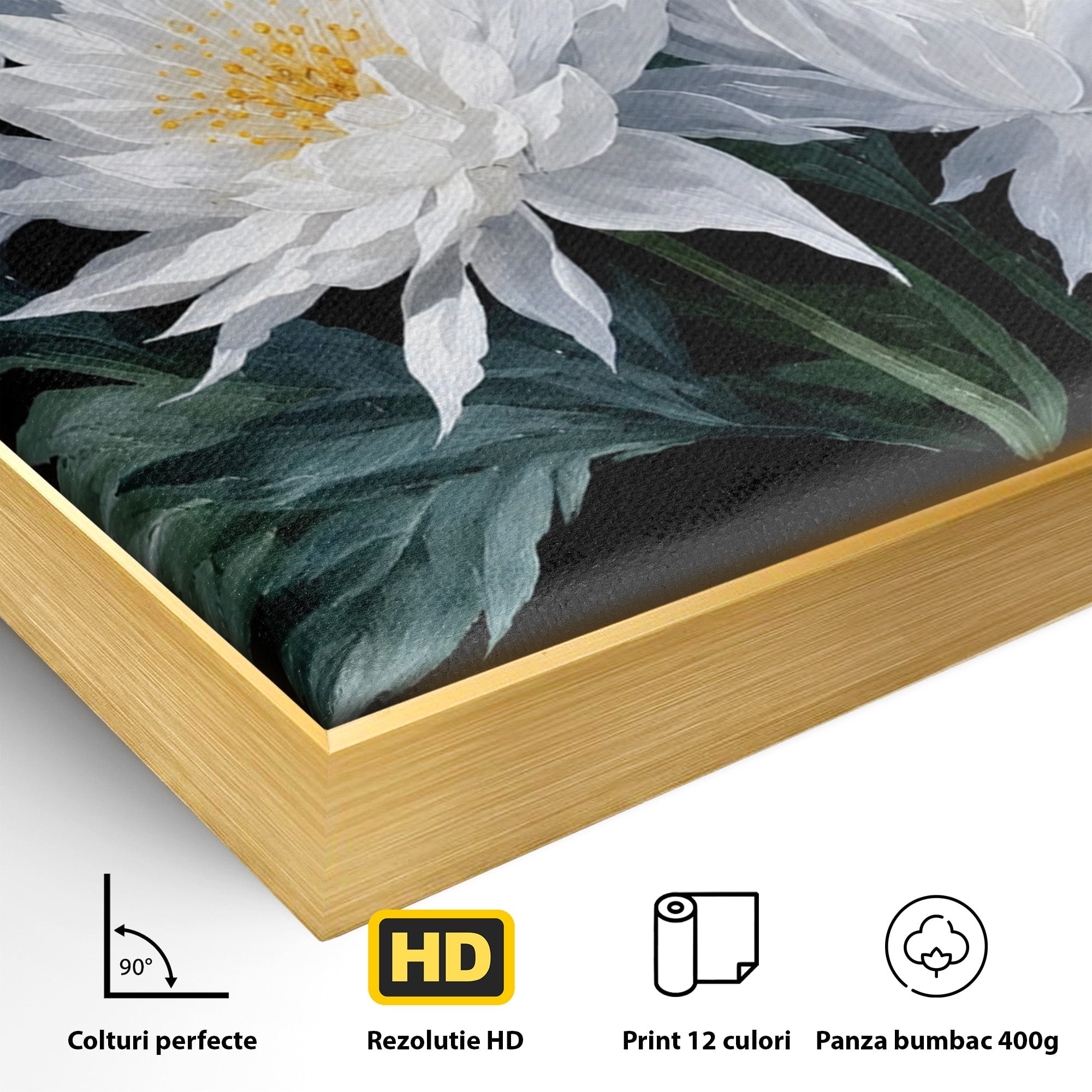 Tablou Canvas Premium LuxCanva® A1781, Flori Albe Elegante, Flori, Eleganta, Natura, Living, Dormitor, Culori Vibrante
