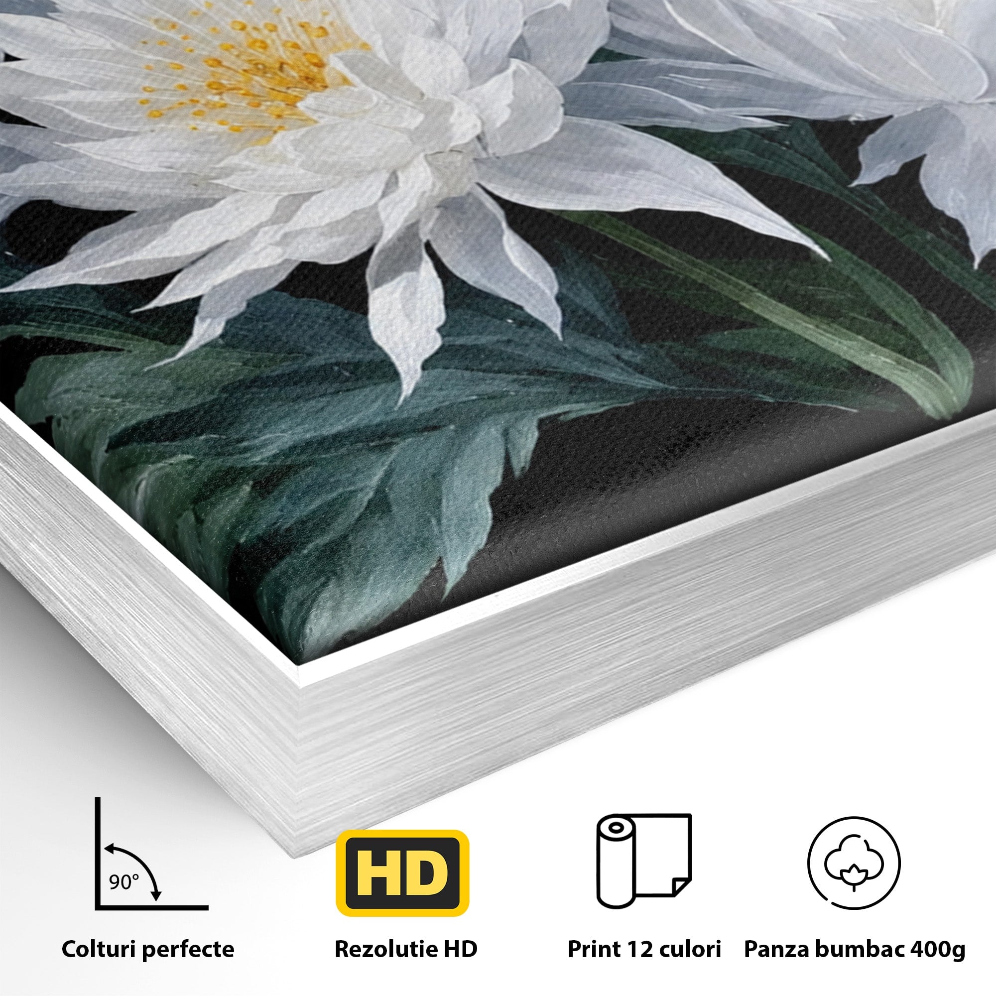 Tablou Canvas Premium LuxCanva® A1781, Flori Albe Elegante, Flori, Eleganta, Natura, Living, Dormitor, Culori Vibrante