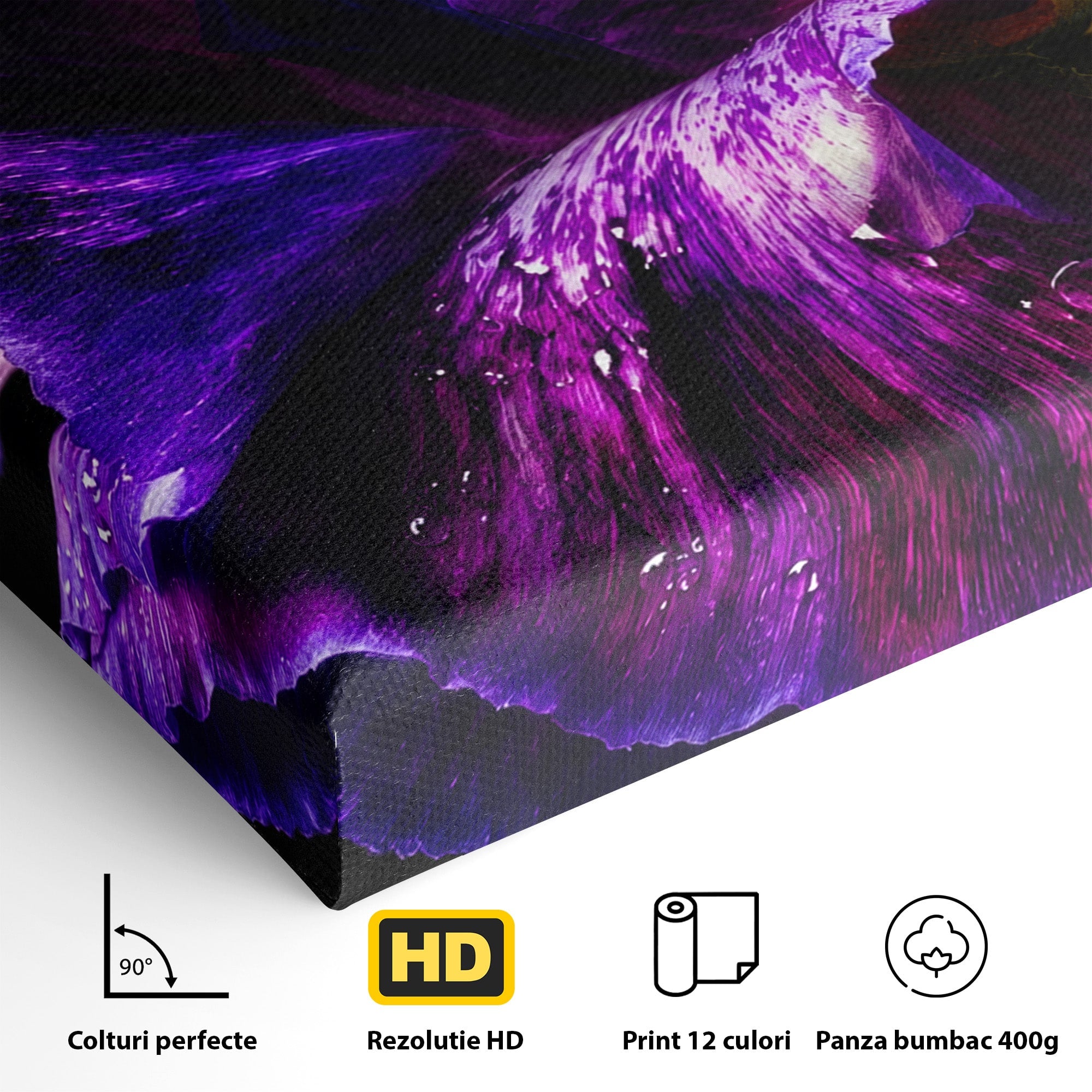 Tablou Canvas Premium LuxCanva® A1786, Floare Violet Intunecata, Floare, Violet, Natura, Detaliu, Dormitor, Culori Vibrante