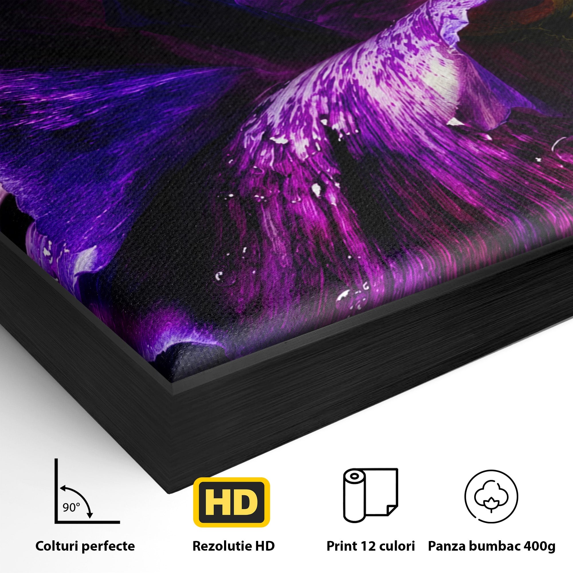 Tablou Canvas Premium LuxCanva® A1786, Floare Violet Intunecata, Floare, Violet, Natura, Detaliu, Dormitor, Culori Vibrante