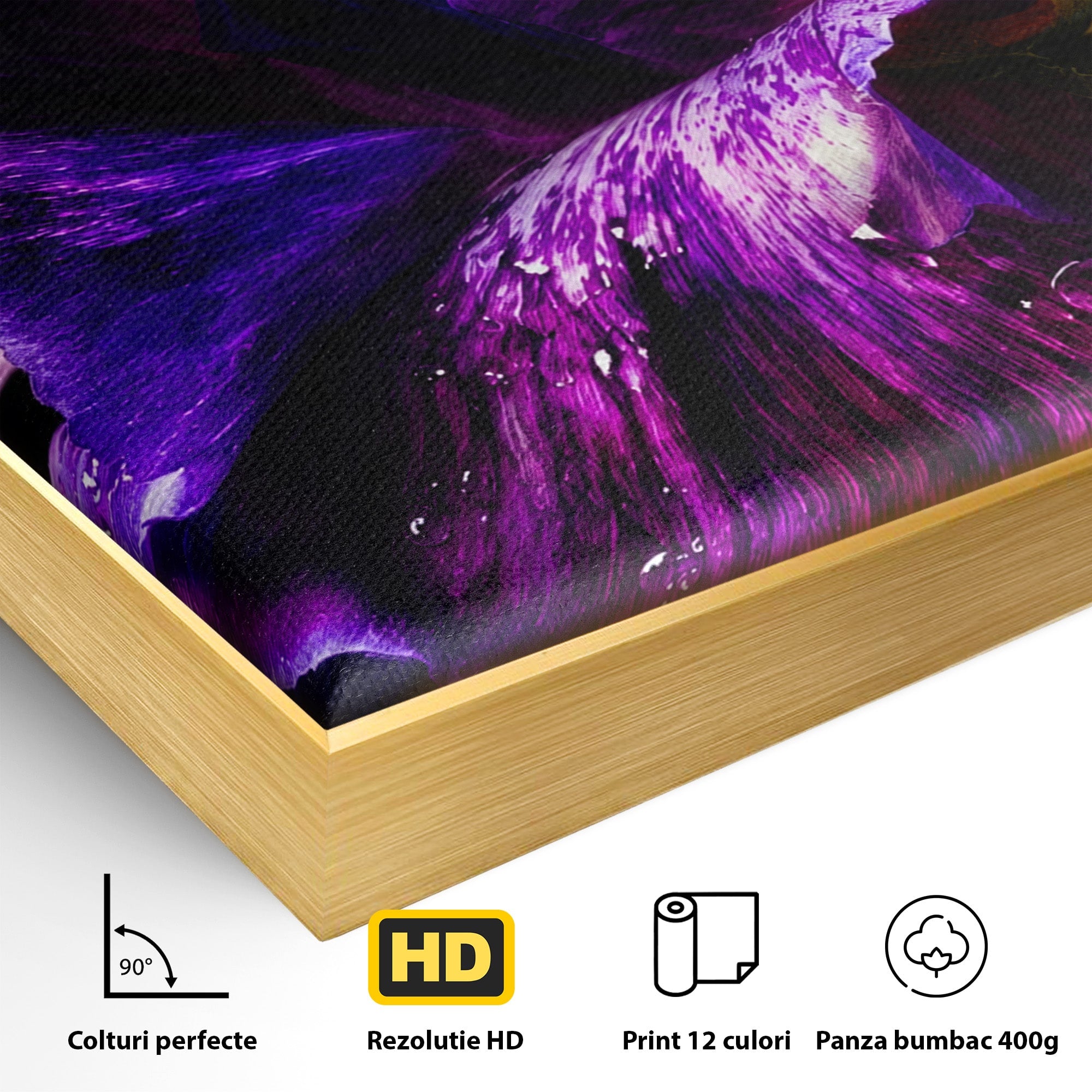 Tablou Canvas Premium LuxCanva® A1786, Floare Violet Intunecata, Floare, Violet, Natura, Detaliu, Dormitor, Culori Vibrante
