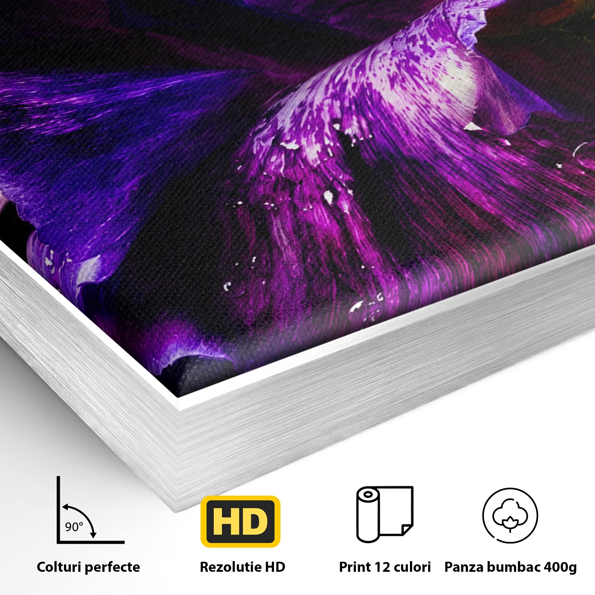 Tablou Canvas Premium LuxCanva® A1786, Floare Violet Intunecata, Floare, Violet, Natura, Detaliu, Dormitor, Culori Vibrante
