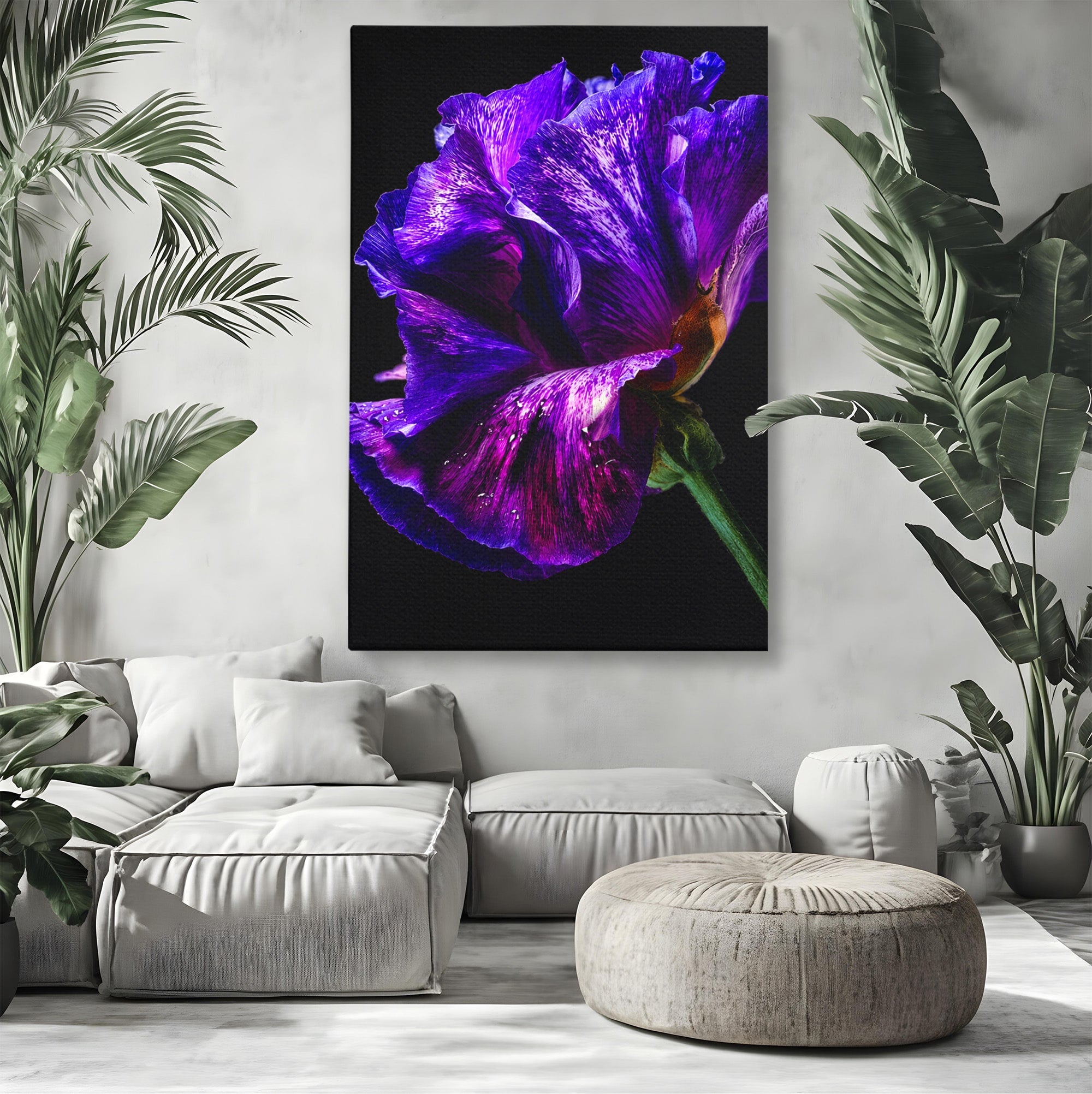 Tablou Canvas Premium LuxCanva® A1786, Floare Violet Intunecata, Floare, Violet, Natura, Detaliu, Dormitor, Culori Vibrante