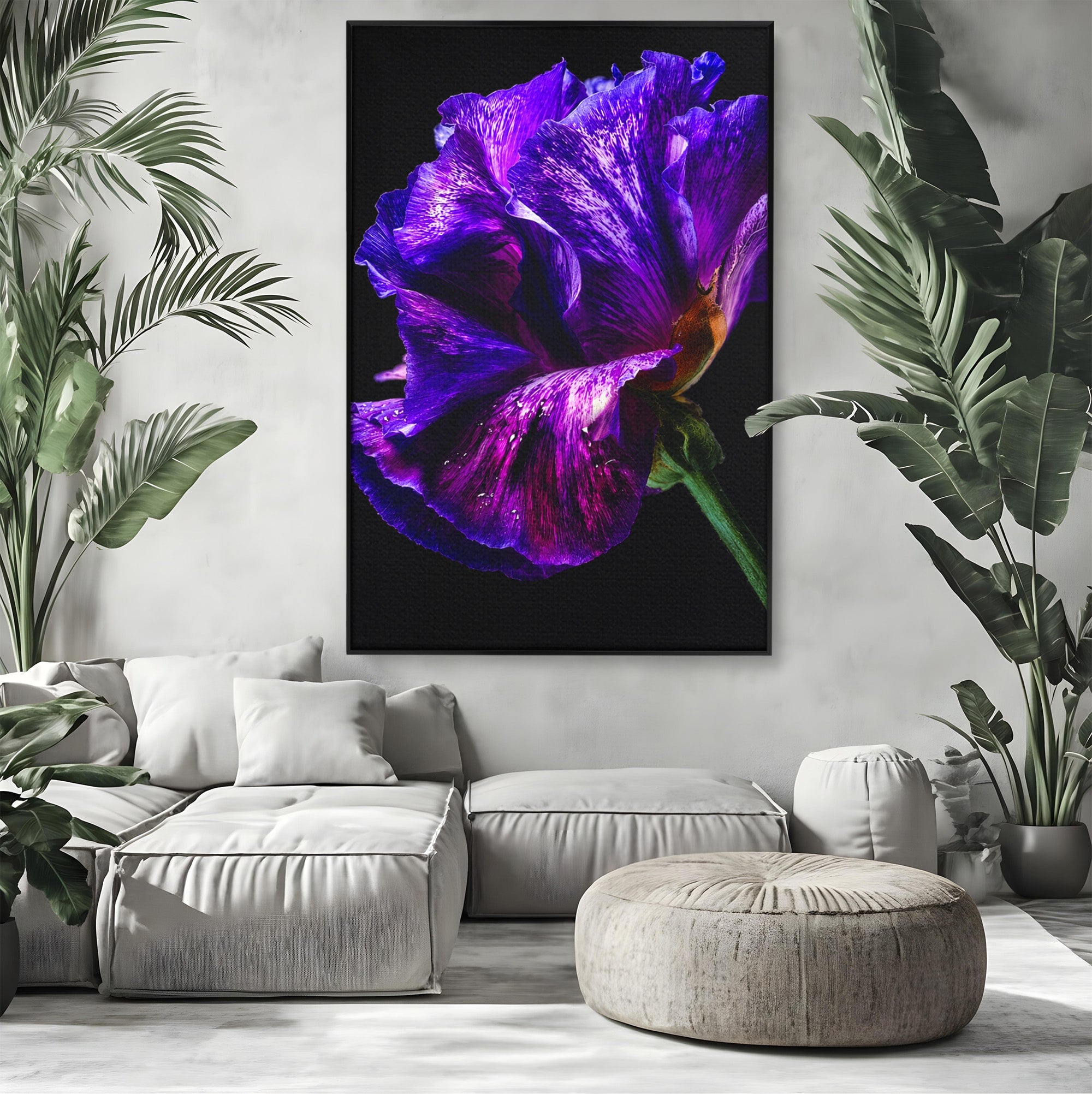 Tablou Canvas Premium LuxCanva® A1786, Floare Violet Intunecata, Floare, Violet, Natura, Detaliu, Dormitor, Culori Vibrante