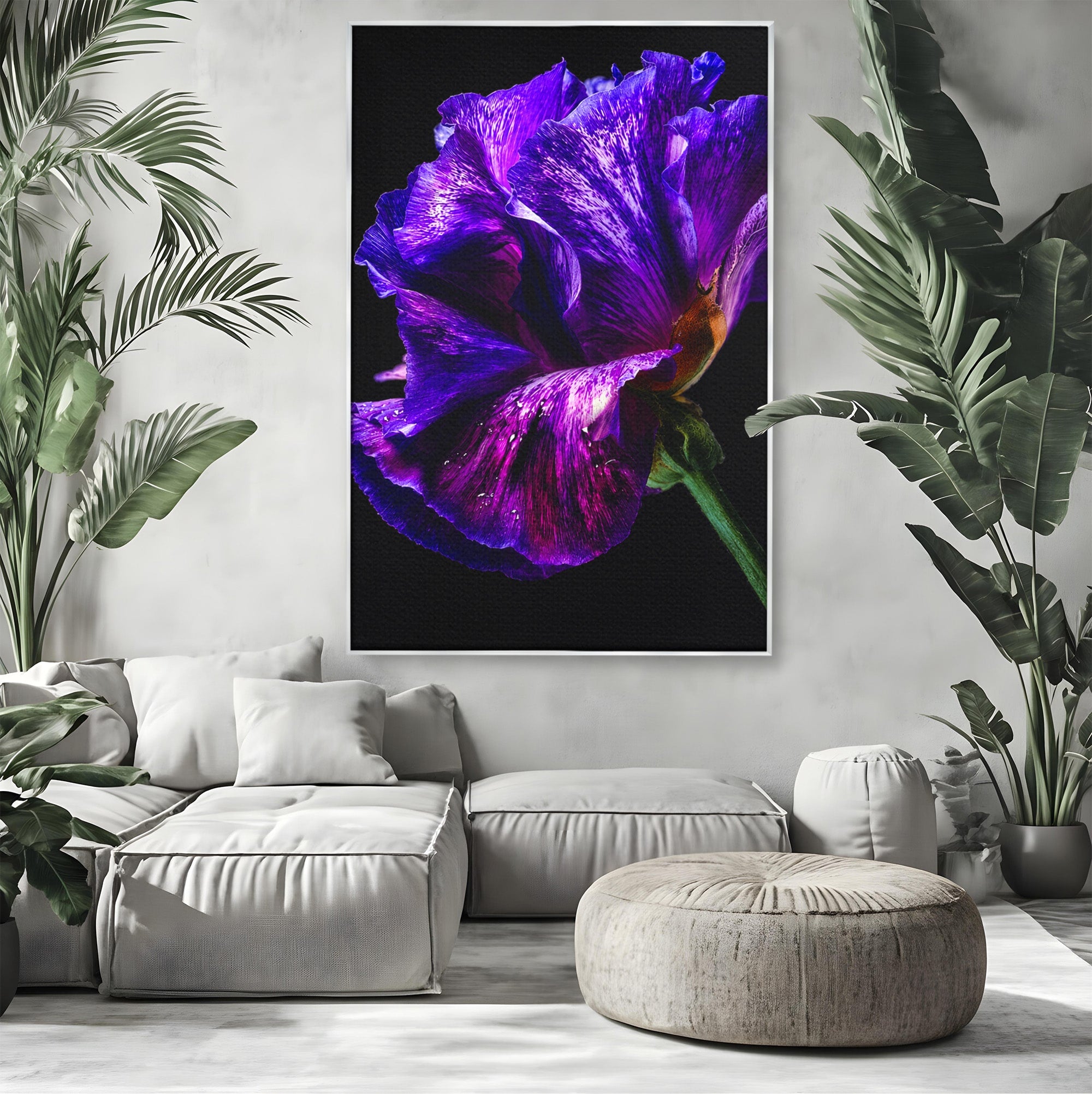 Tablou Canvas Premium LuxCanva® A1786, Floare Violet Intunecata, Floare, Violet, Natura, Detaliu, Dormitor, Culori Vibrante