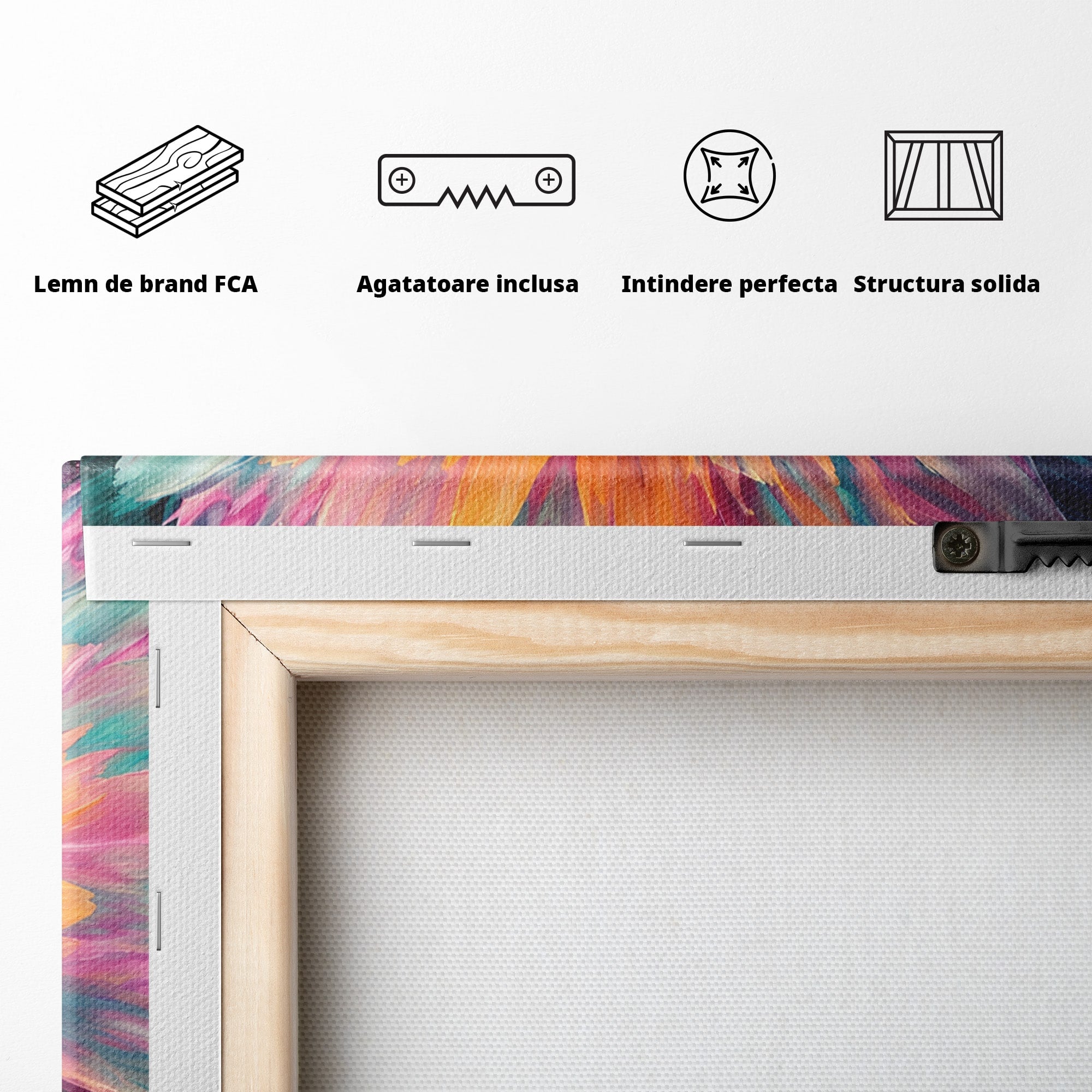 Tablou Canvas Premium LuxCanva® A1790, Floare Cosmica, Floare, Abstract, Natura, Living, Dormitor, Culori Vibrante