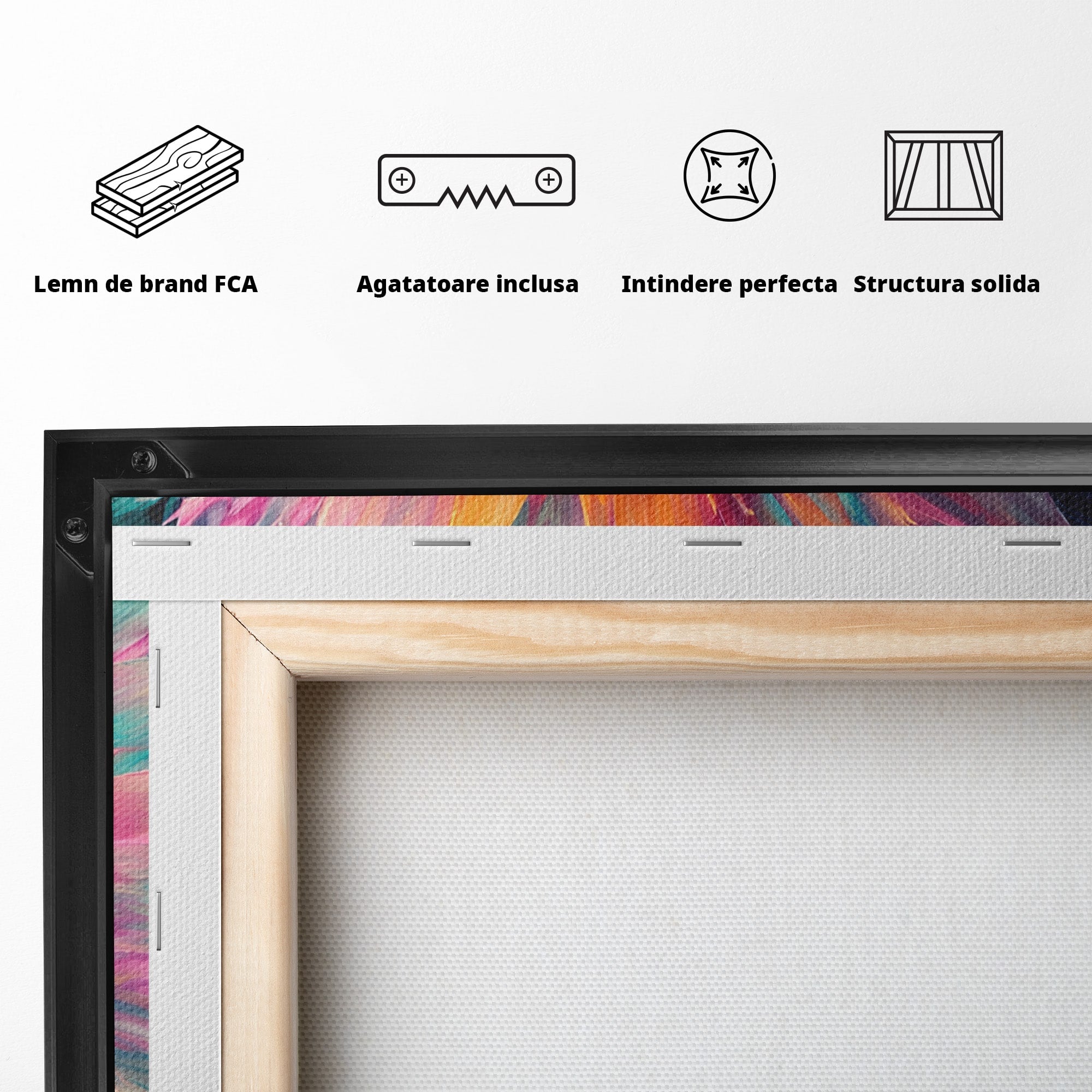 Tablou Canvas Premium LuxCanva® A1790, Floare Cosmica, Floare, Abstract, Natura, Living, Dormitor, Culori Vibrante