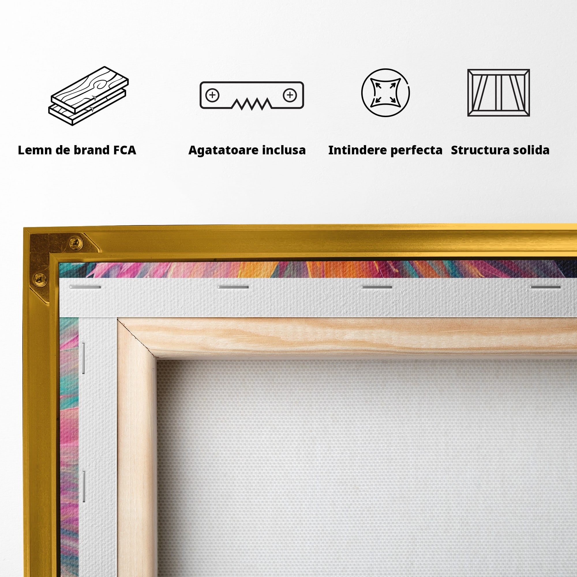 Tablou Canvas Premium LuxCanva® A1790, Floare Cosmica, Floare, Abstract, Natura, Living, Dormitor, Culori Vibrante