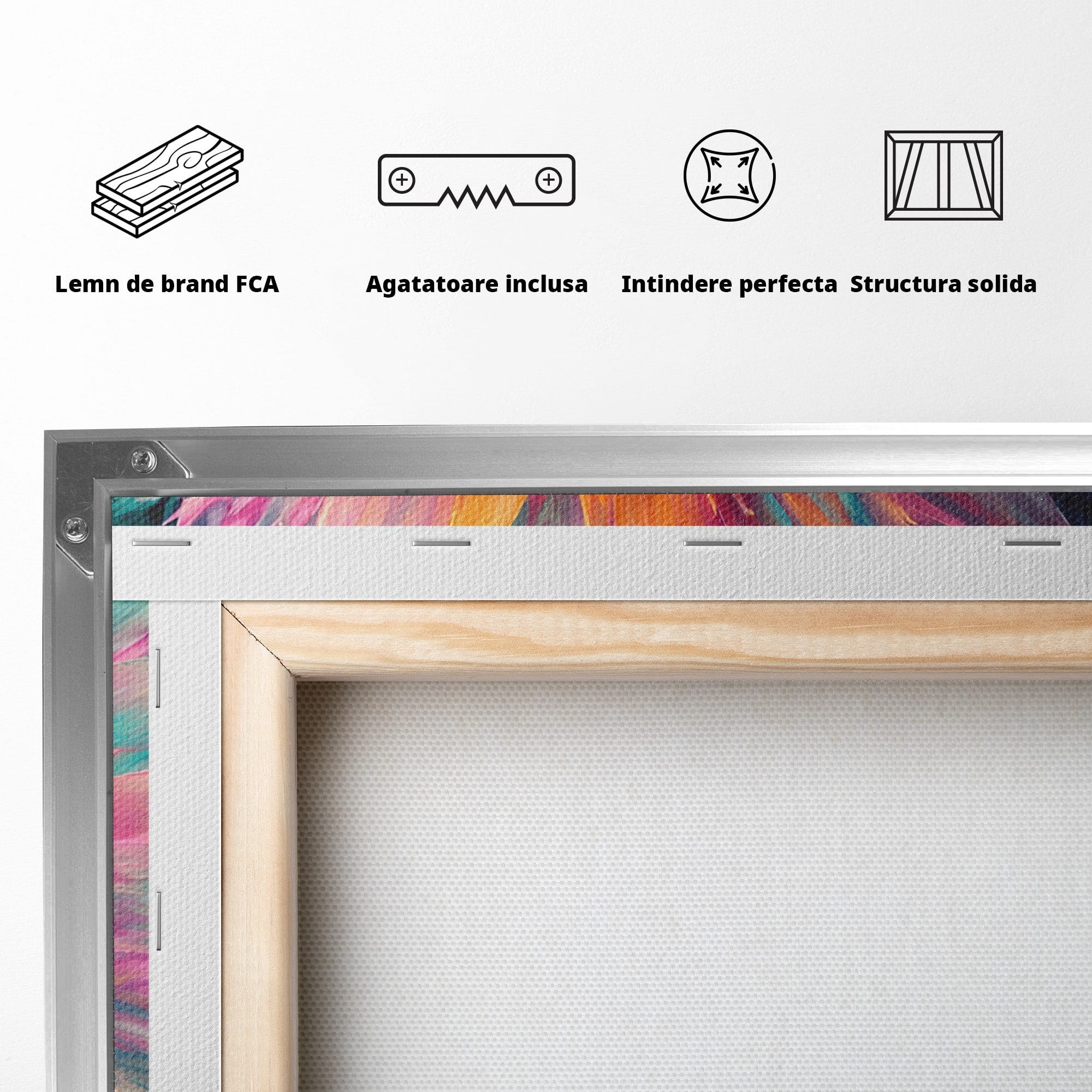 Tablou Canvas Premium LuxCanva® A1790, Floare Cosmica, Floare, Abstract, Natura, Living, Dormitor, Culori Vibrante