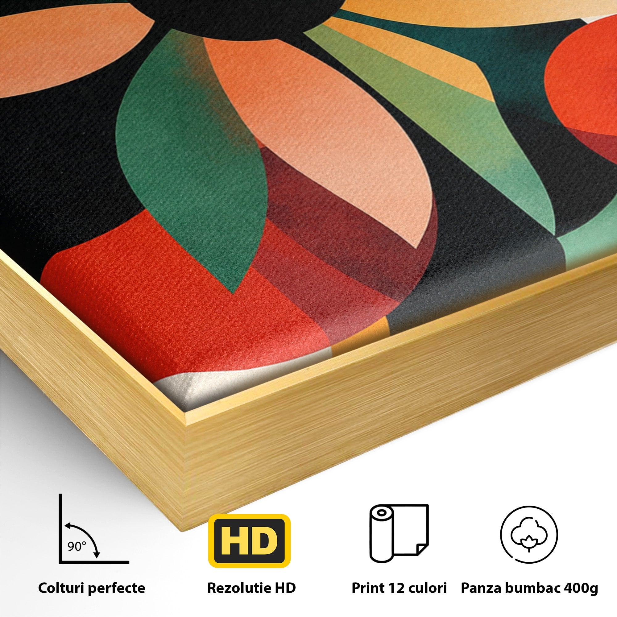 Tablou Canvas Premium LuxCanva® A1791, Floare Abstracta Geometrica, Floare, Abstract, Geometric, Modern, Living, Culori Vibrante