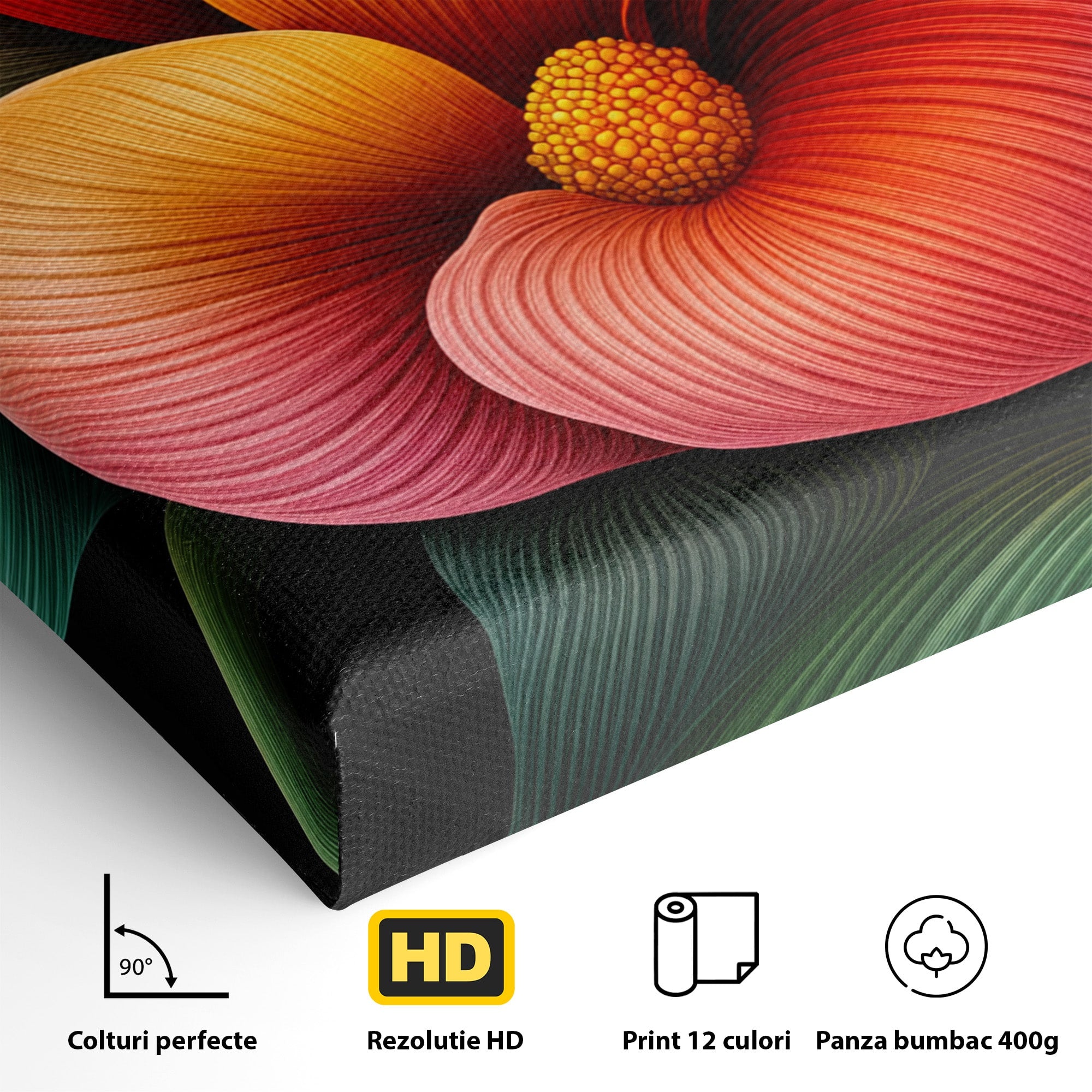Tablou Canvas Premium LuxCanva® A1793, Euforia Florii, Floare, Abstract, Modern, Dormitor, Living, Culori Vibrante