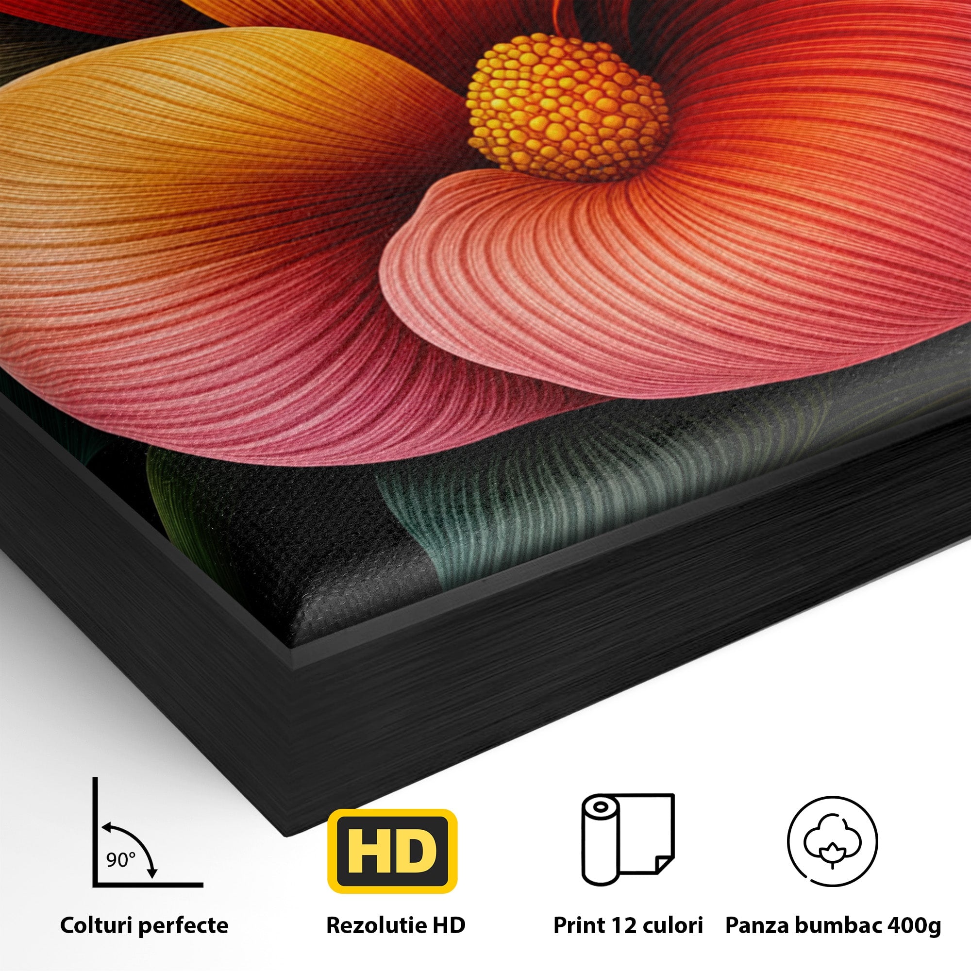 Tablou Canvas Premium LuxCanva® A1793, Euforia Florii, Floare, Abstract, Modern, Dormitor, Living, Culori Vibrante