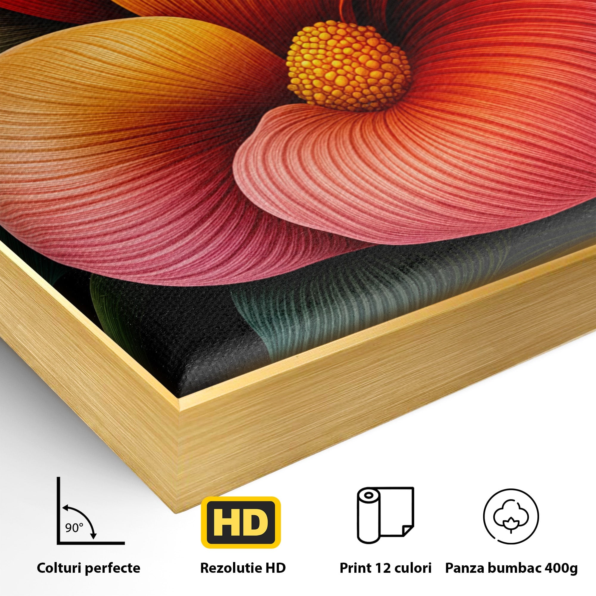 Tablou Canvas Premium LuxCanva® A1793, Euforia Florii, Floare, Abstract, Modern, Dormitor, Living, Culori Vibrante