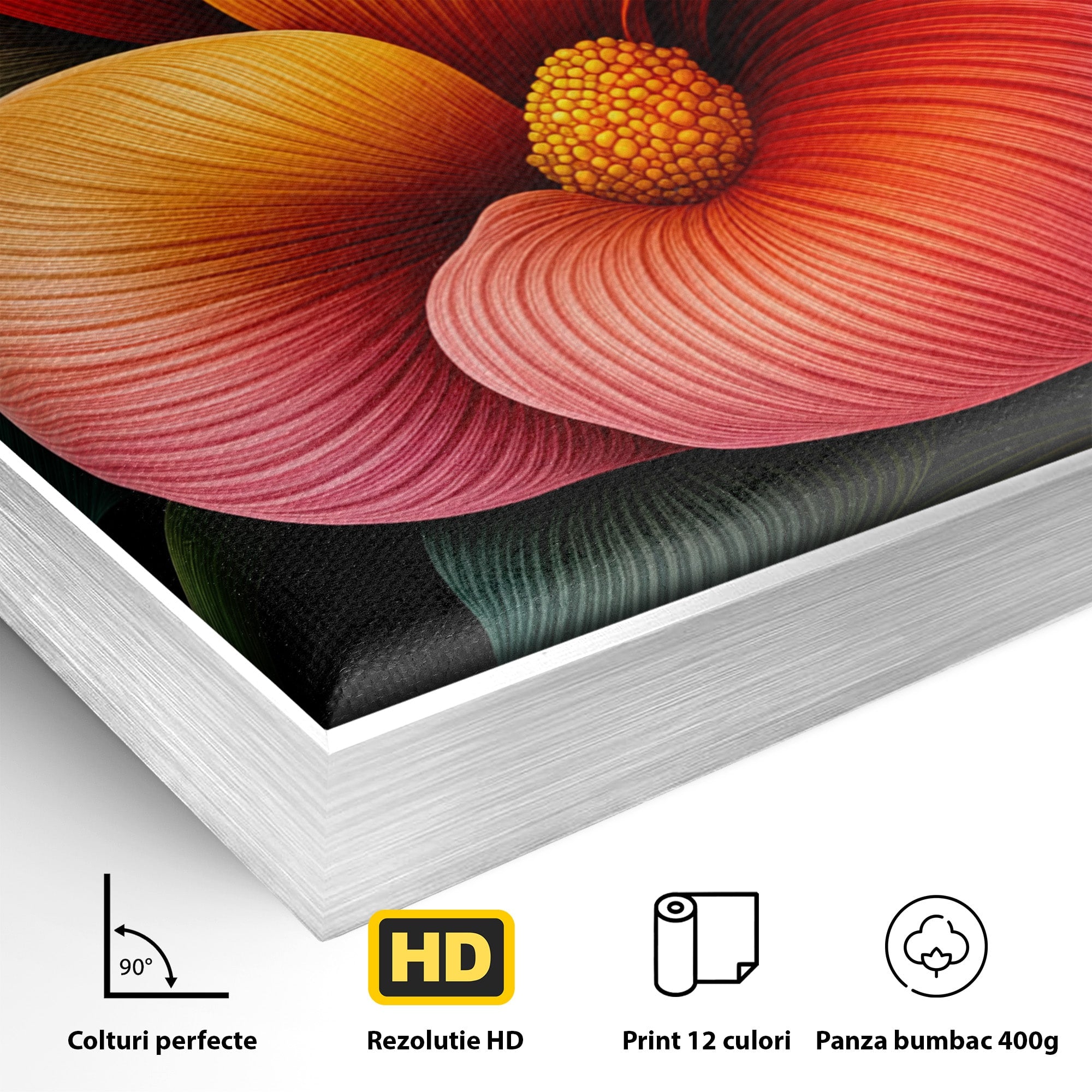 Tablou Canvas Premium LuxCanva® A1793, Euforia Florii, Floare, Abstract, Modern, Dormitor, Living, Culori Vibrante