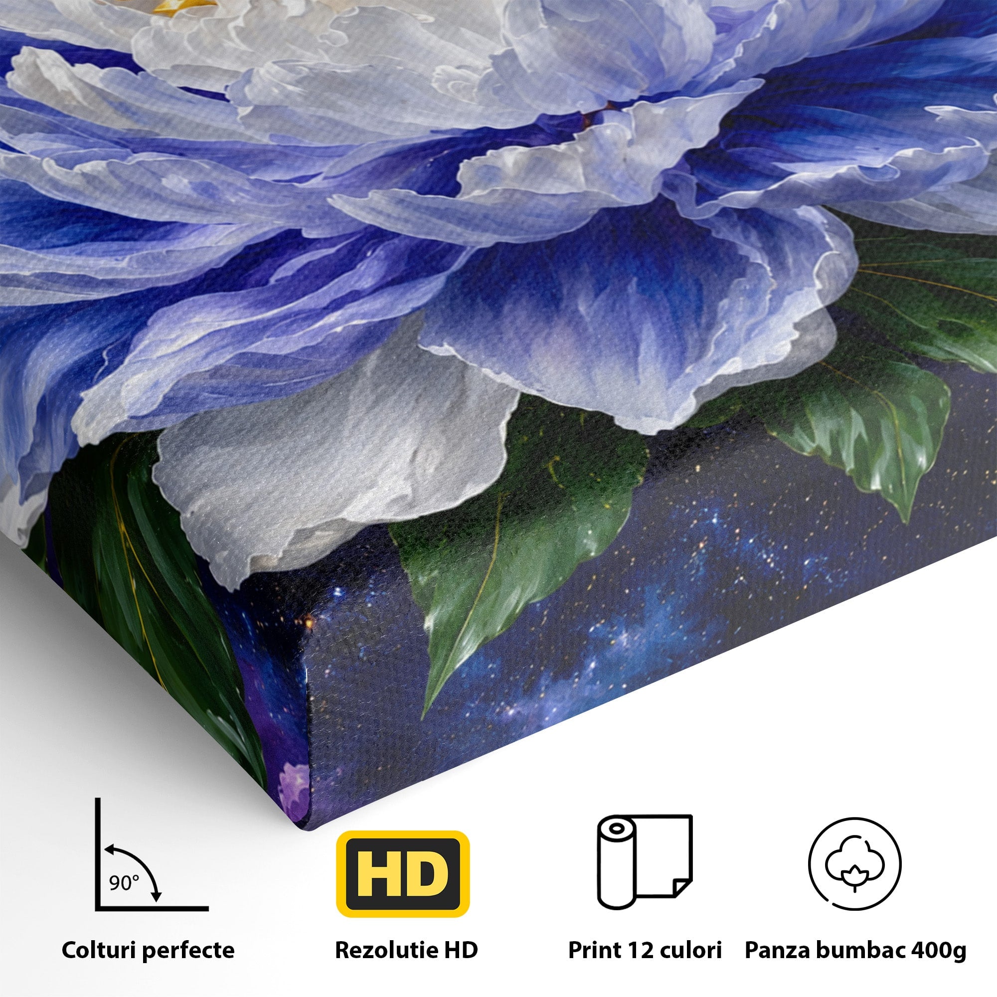 Tablou Canvas Premium LuxCanva® A1795, Floare Galactica, Floare, Galaxie, Natura, Living, Dormitor, Culori Vibrante