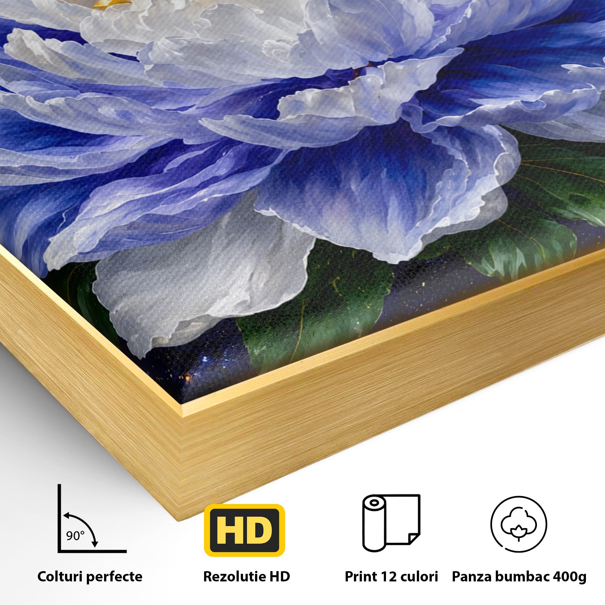 Tablou Canvas Premium LuxCanva® A1795, Floare Galactica, Floare, Galaxie, Natura, Living, Dormitor, Culori Vibrante