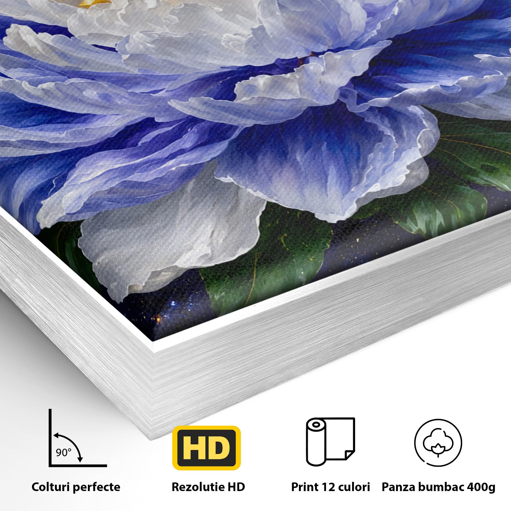Tablou Canvas Premium LuxCanva® A1795, Floare Galactica, Floare, Galaxie, Natura, Living, Dormitor, Culori Vibrante