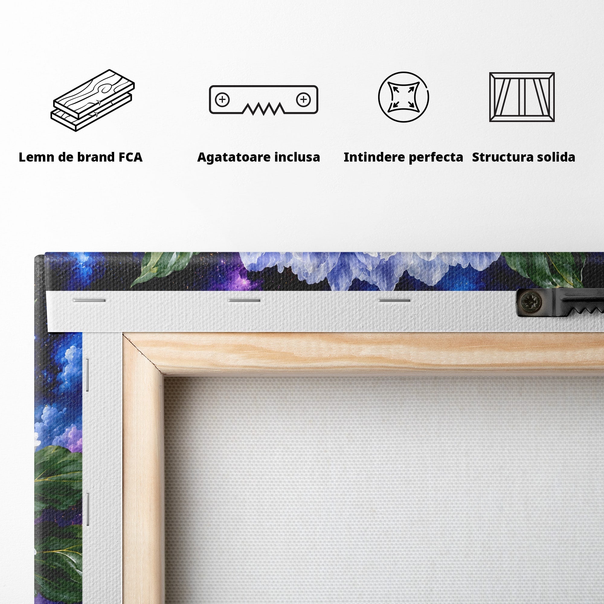 Tablou Canvas Premium LuxCanva® A1795, Floare Galactica, Floare, Galaxie, Natura, Living, Dormitor, Culori Vibrante