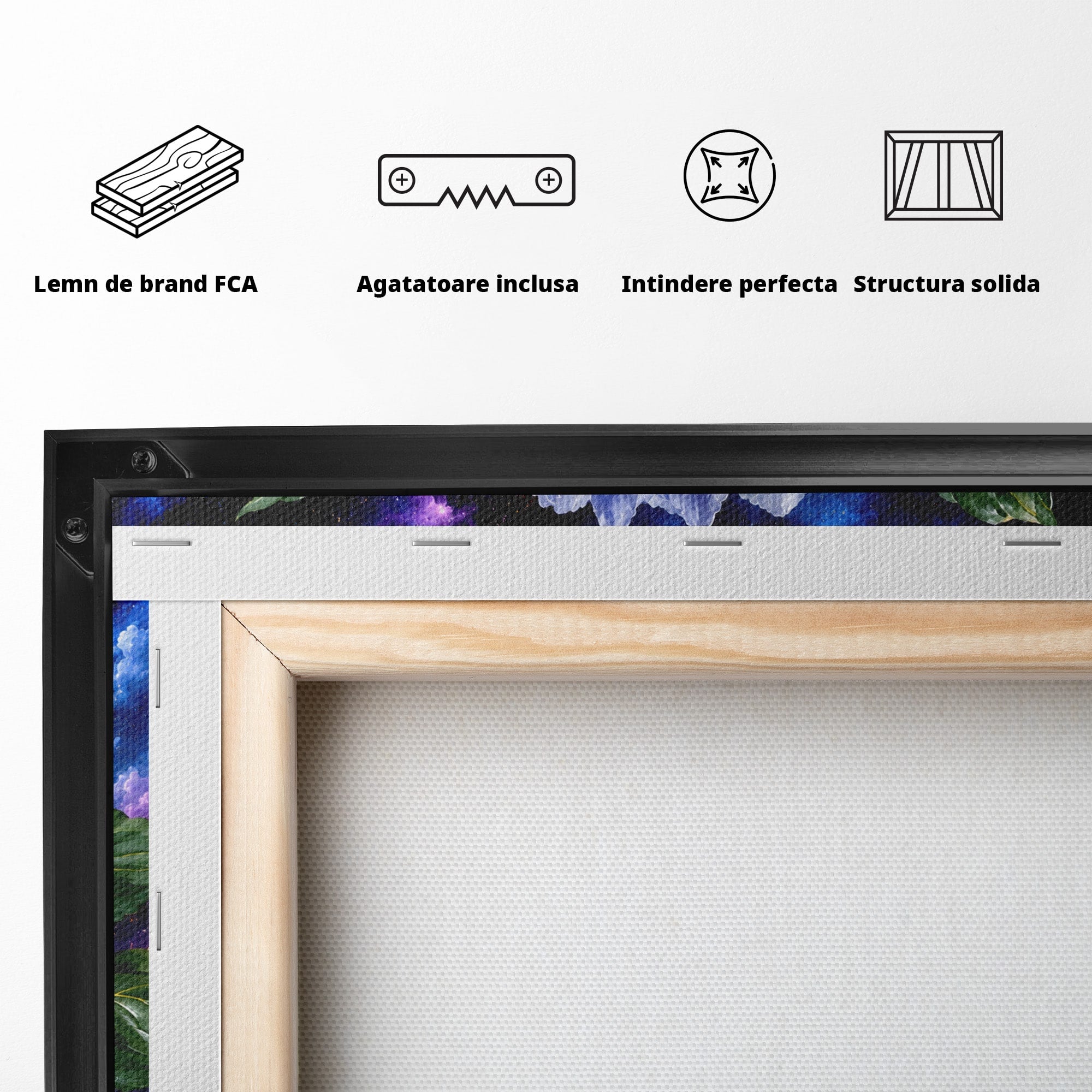 Tablou Canvas Premium LuxCanva® A1795, Floare Galactica, Floare, Galaxie, Natura, Living, Dormitor, Culori Vibrante
