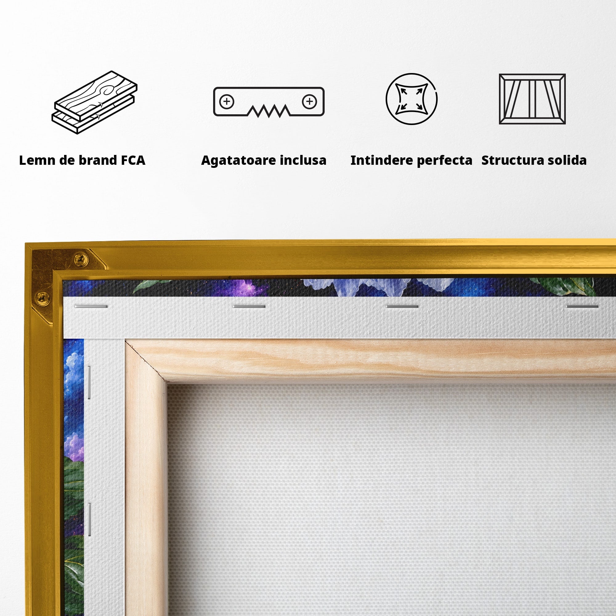Tablou Canvas Premium LuxCanva® A1795, Floare Galactica, Floare, Galaxie, Natura, Living, Dormitor, Culori Vibrante