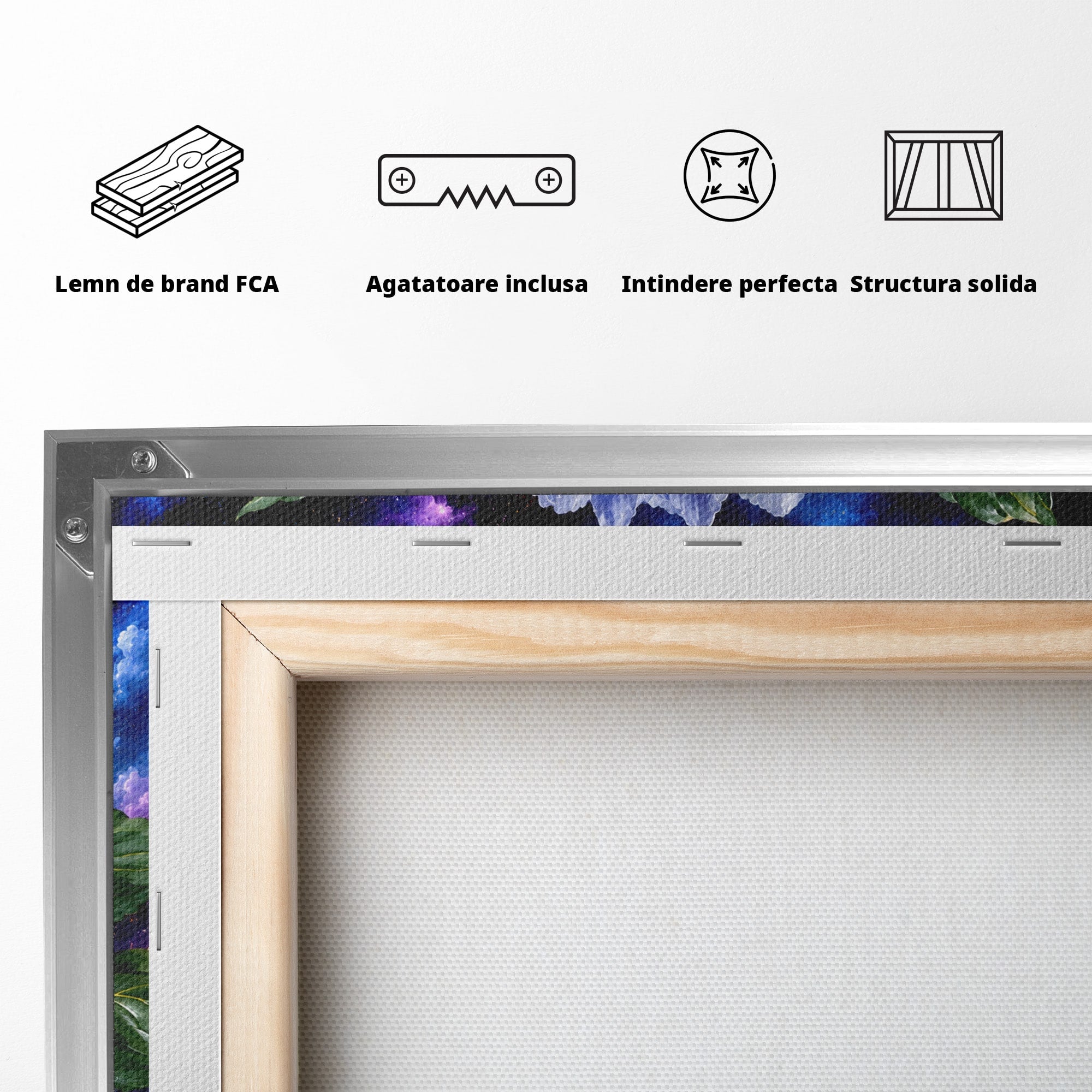 Tablou Canvas Premium LuxCanva® A1795, Floare Galactica, Floare, Galaxie, Natura, Living, Dormitor, Culori Vibrante