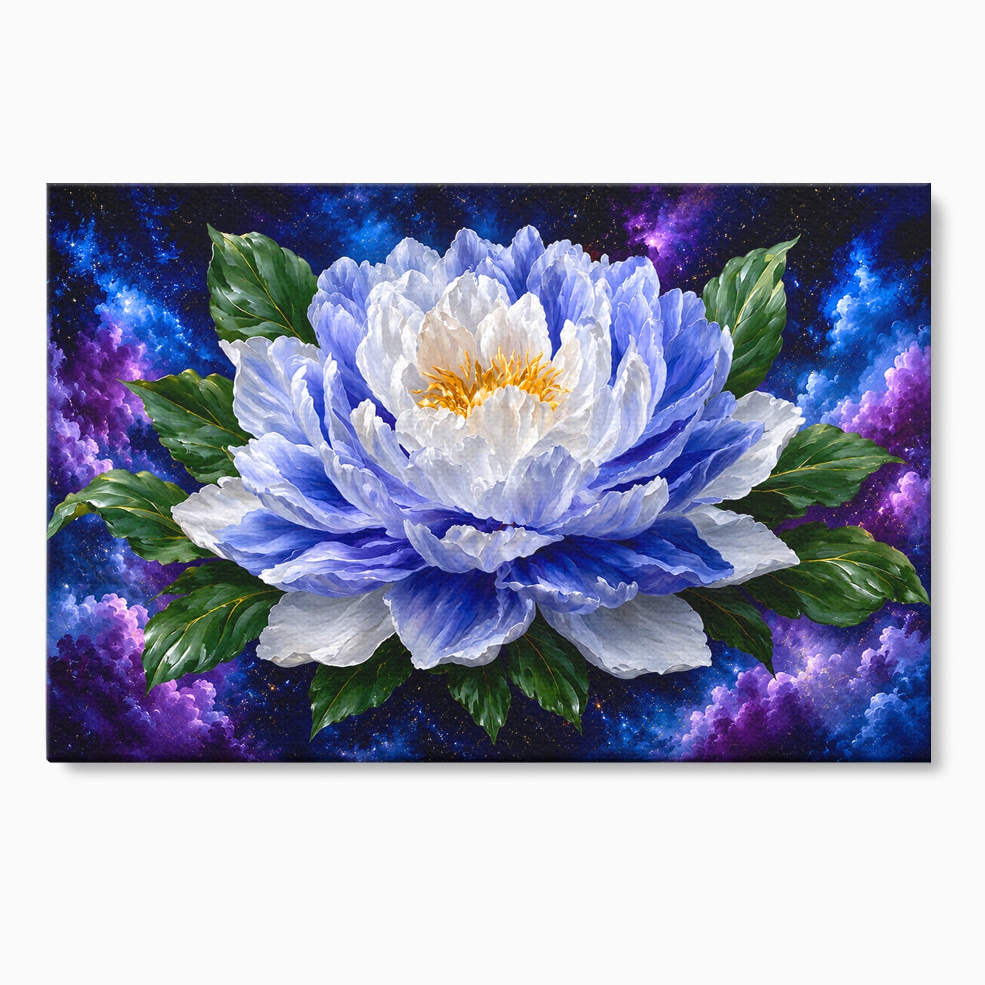 Tablou Canvas Premium LuxCanva® A1795, Floare Galactica, Floare, Galaxie, Natura, Living, Dormitor, Culori Vibrante