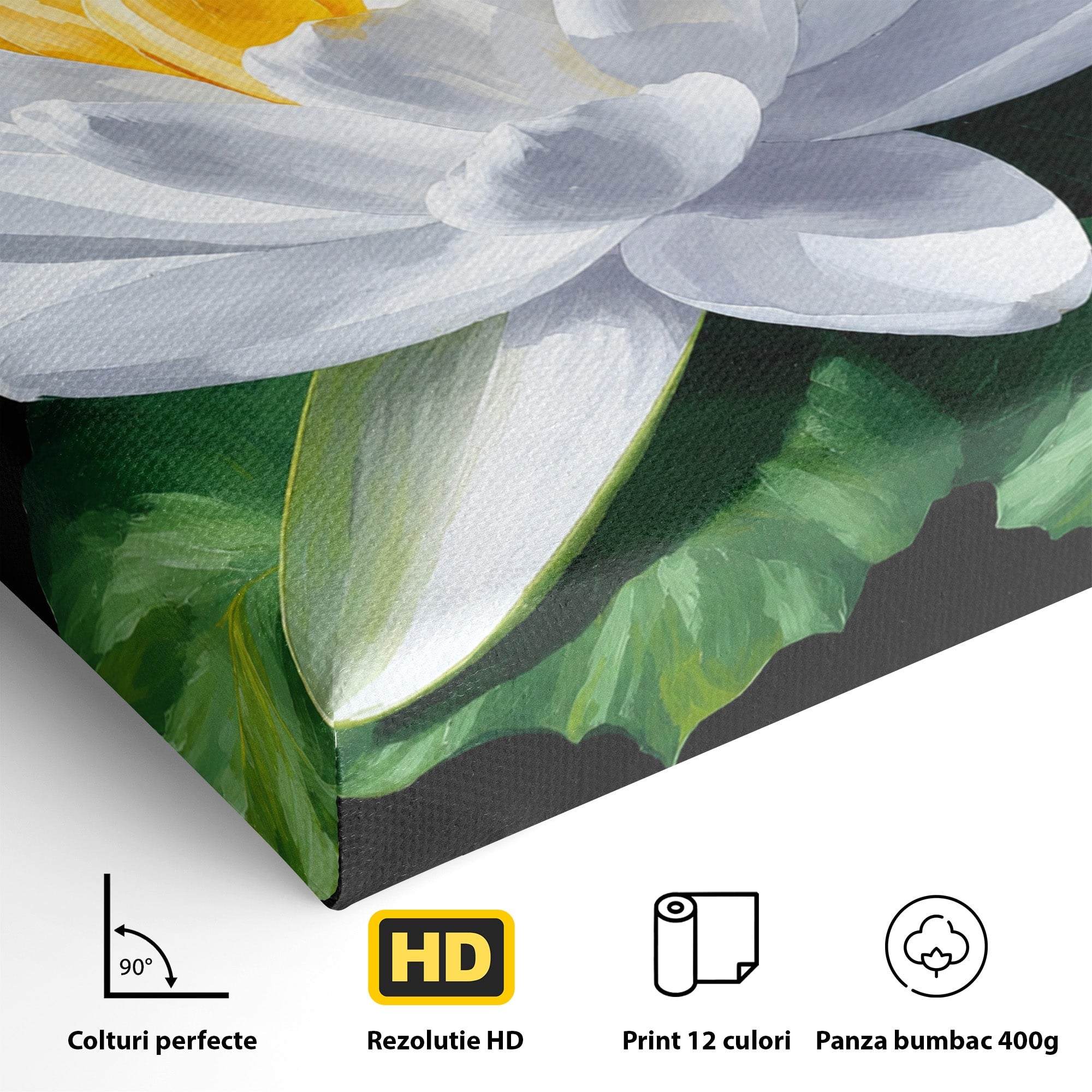 Tablou Canvas Premium LuxCanva® A1799, Floare De Lotus, Floare, Lotus, Natura, Zen, Dormitor, Culori Vibrante