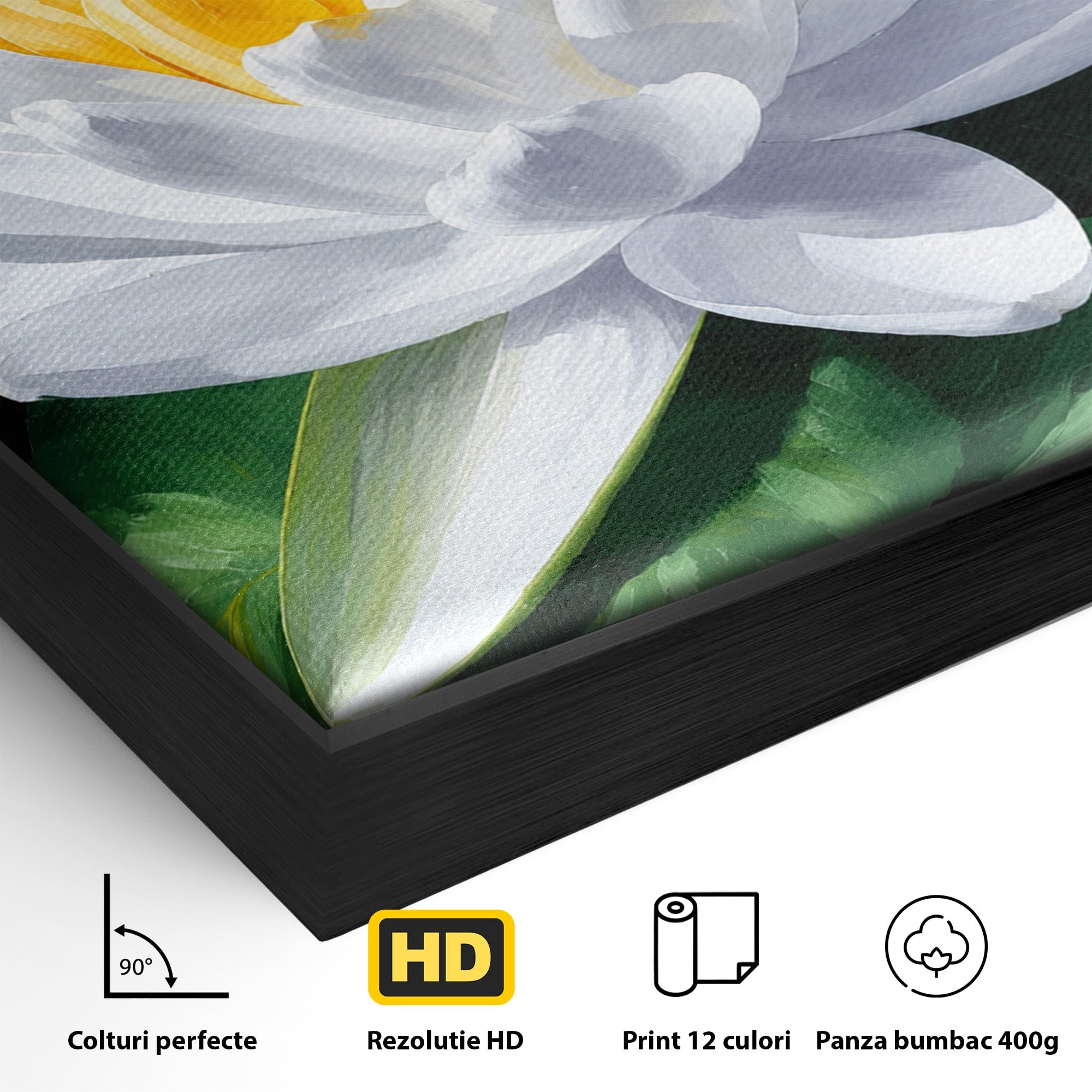 Tablou Canvas Premium LuxCanva® A1799, Floare De Lotus, Floare, Lotus, Natura, Zen, Dormitor, Culori Vibrante