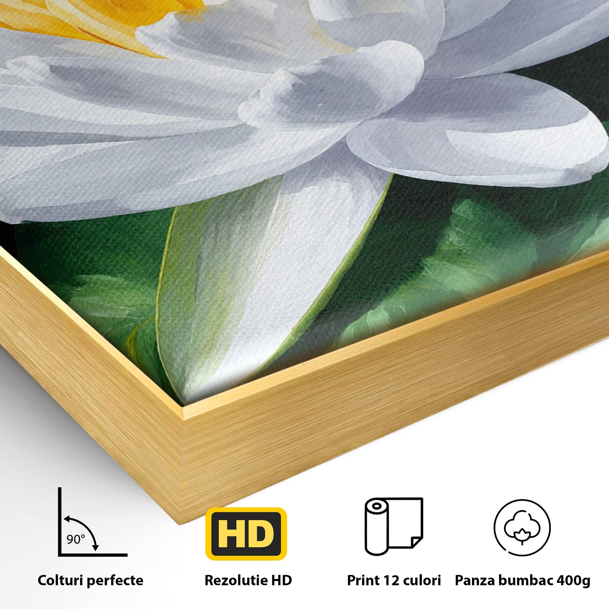 Tablou Canvas Premium LuxCanva® A1799, Floare De Lotus, Floare, Lotus, Natura, Zen, Dormitor, Culori Vibrante