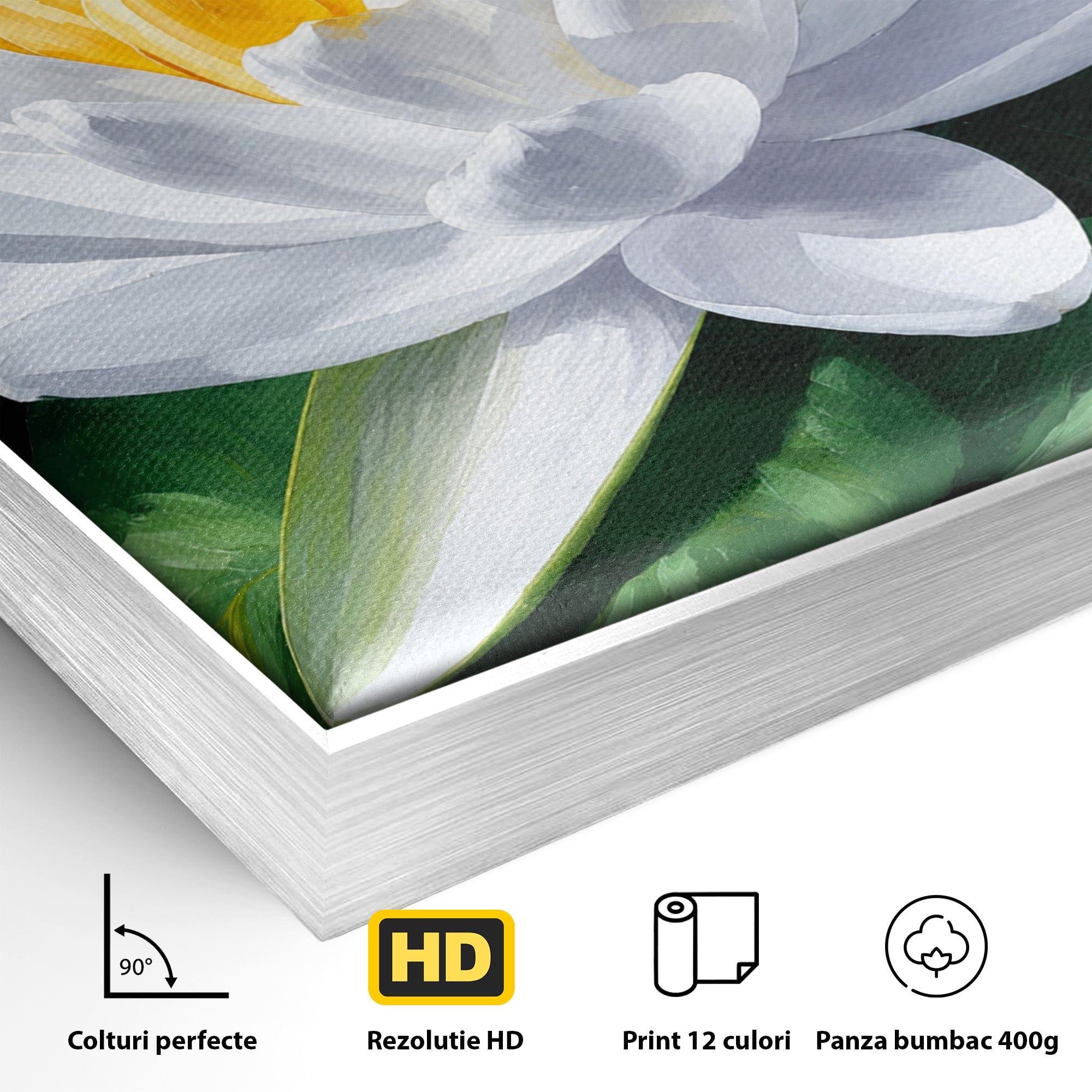 Tablou Canvas Premium LuxCanva® A1799, Floare De Lotus, Floare, Lotus, Natura, Zen, Dormitor, Culori Vibrante