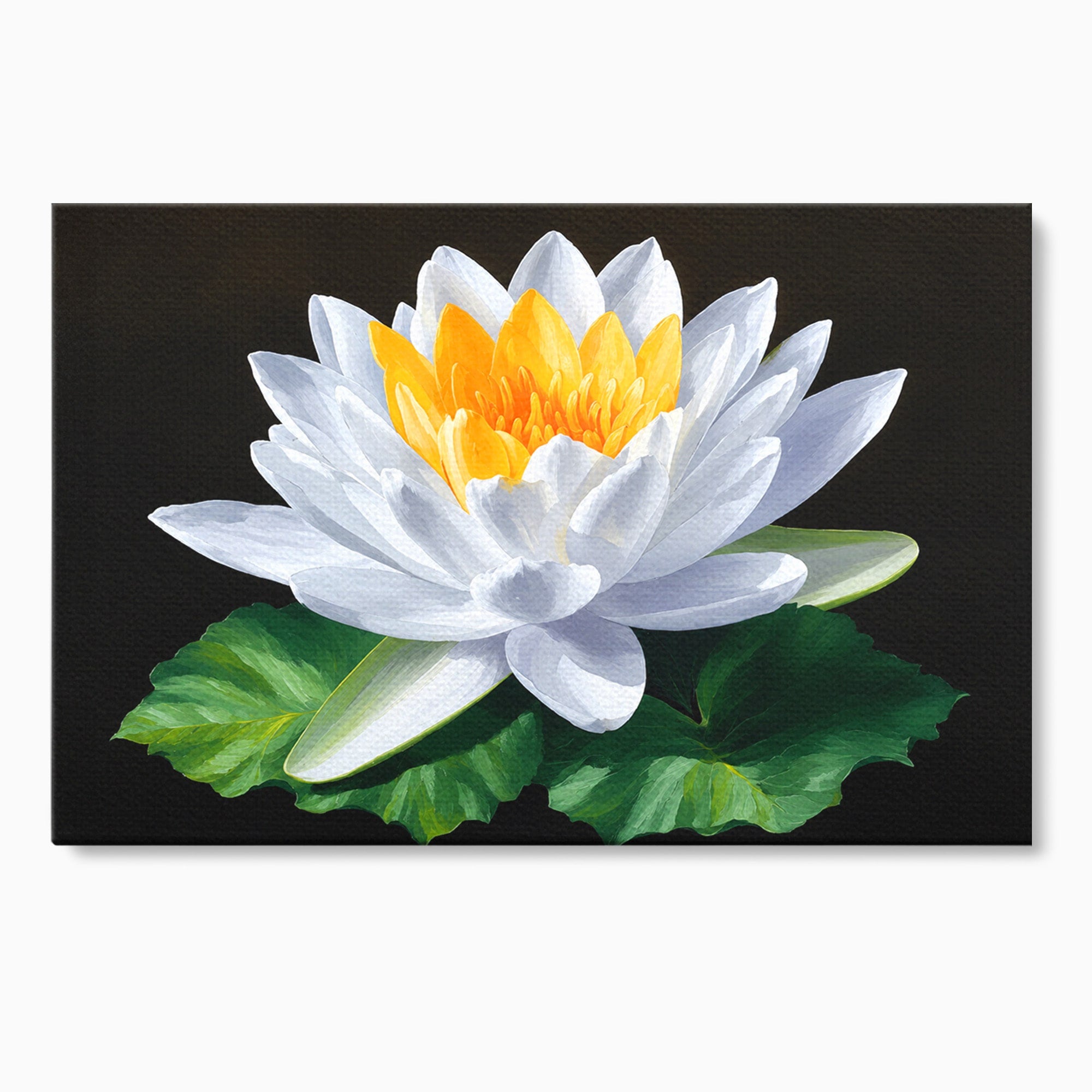 Tablou Canvas Premium LuxCanva® A1799, Floare De Lotus, Floare, Lotus, Natura, Zen, Dormitor, Culori Vibrante