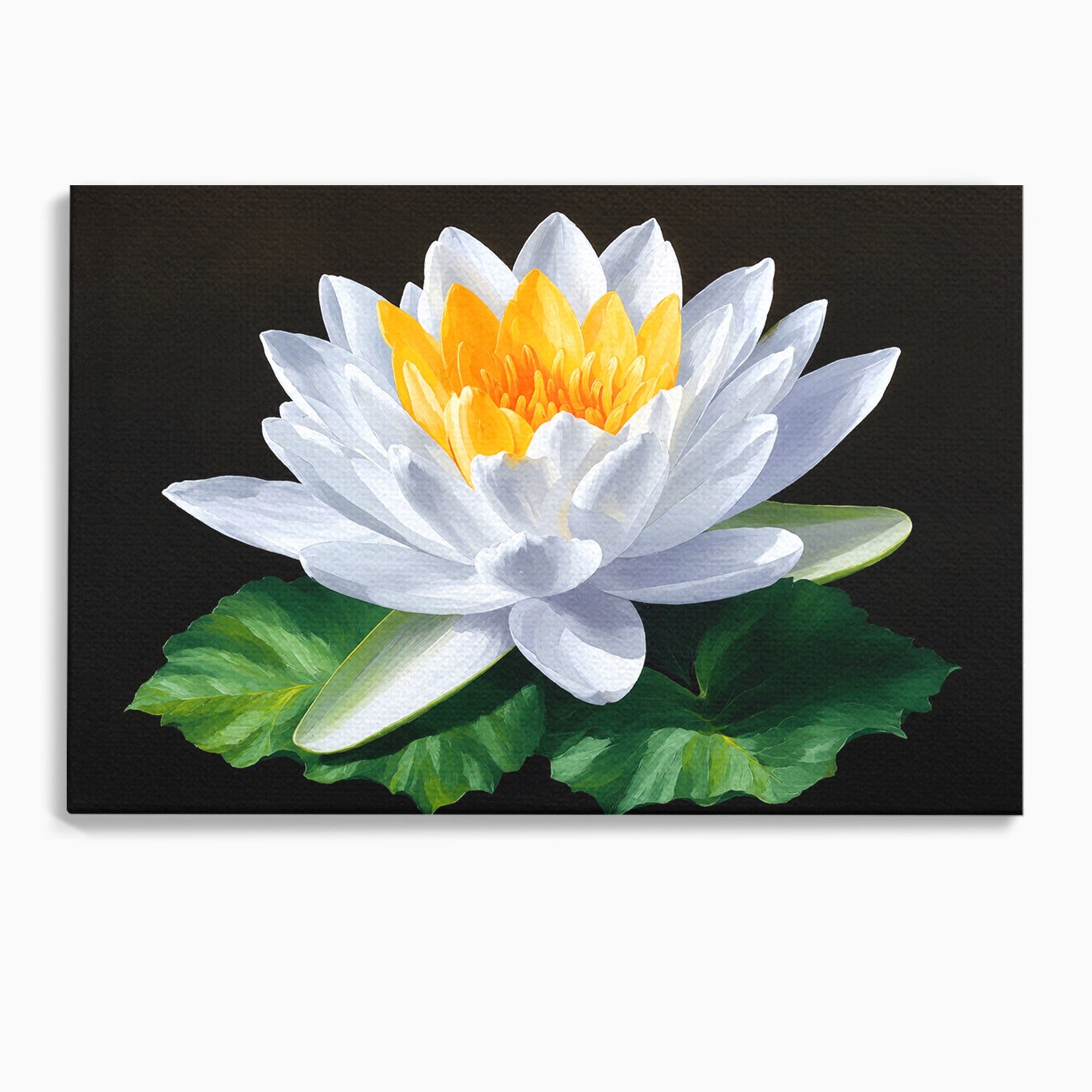 Tablou Canvas Premium LuxCanva® A1799, Floare De Lotus, Floare, Lotus, Natura, Zen, Dormitor, Culori Vibrante