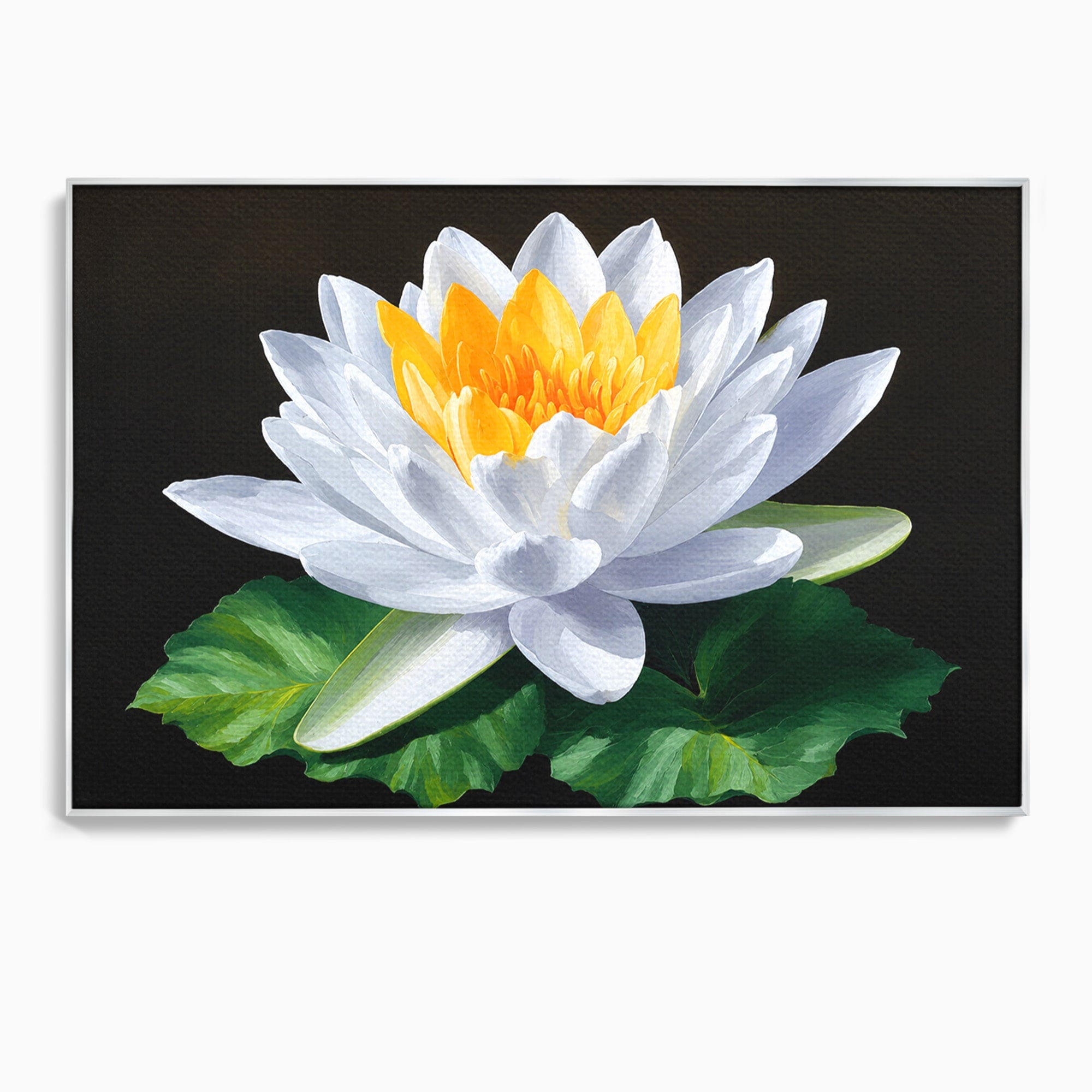 Tablou Canvas Premium LuxCanva® A1799, Floare De Lotus, Floare, Lotus, Natura, Zen, Dormitor, Culori Vibrante