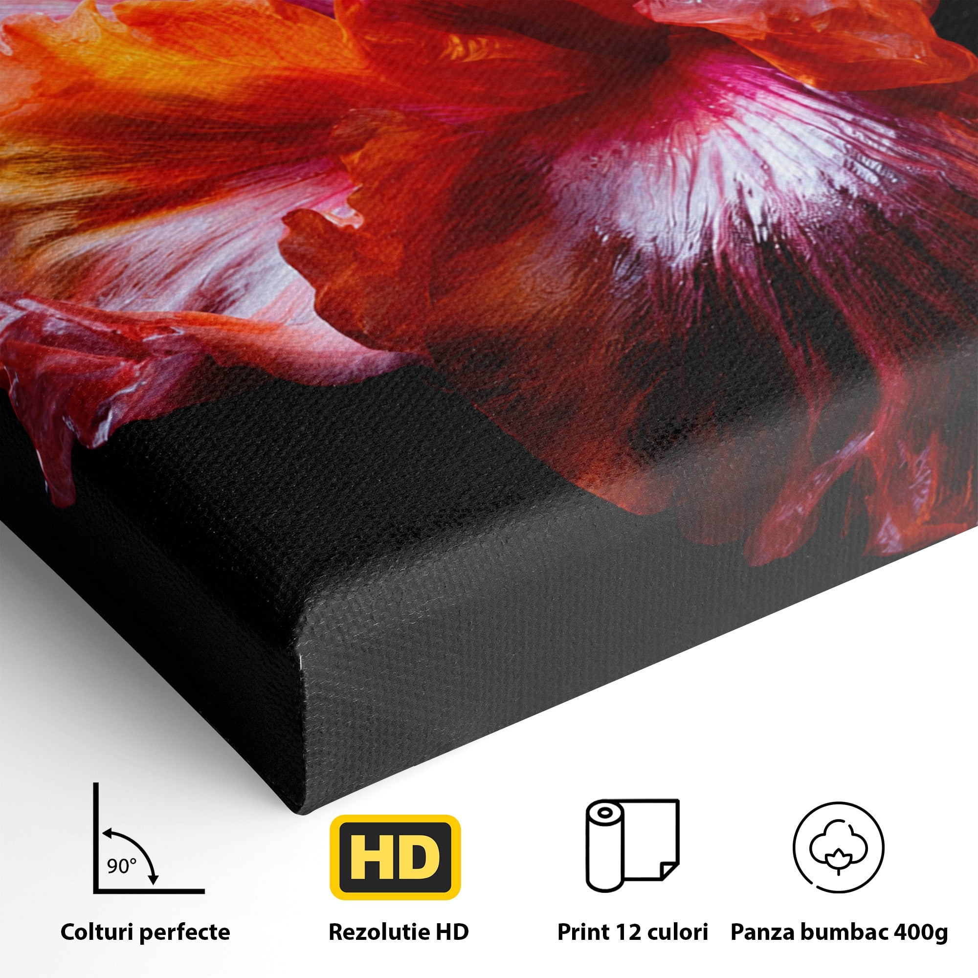Tablou Canvas Premium LuxCanva® A1805, Floare De Hibiscus, Floare, Hibiscus, Natura, Dormitor, Living, Culori Vibrante