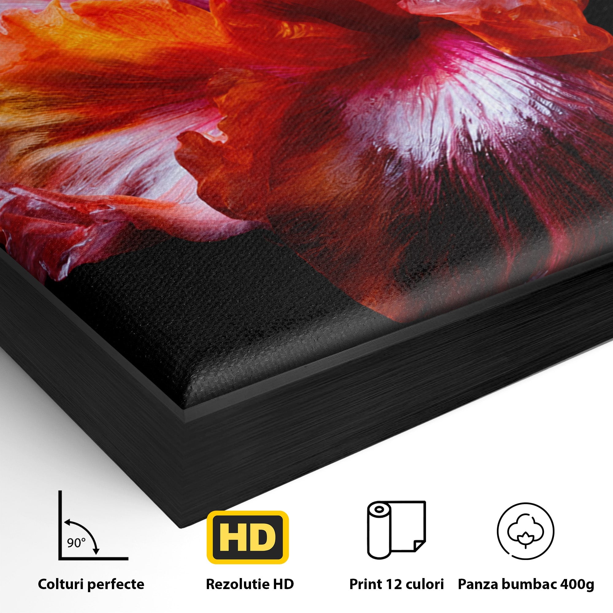 Tablou Canvas Premium LuxCanva® A1805, Floare De Hibiscus, Floare, Hibiscus, Natura, Dormitor, Living, Culori Vibrante