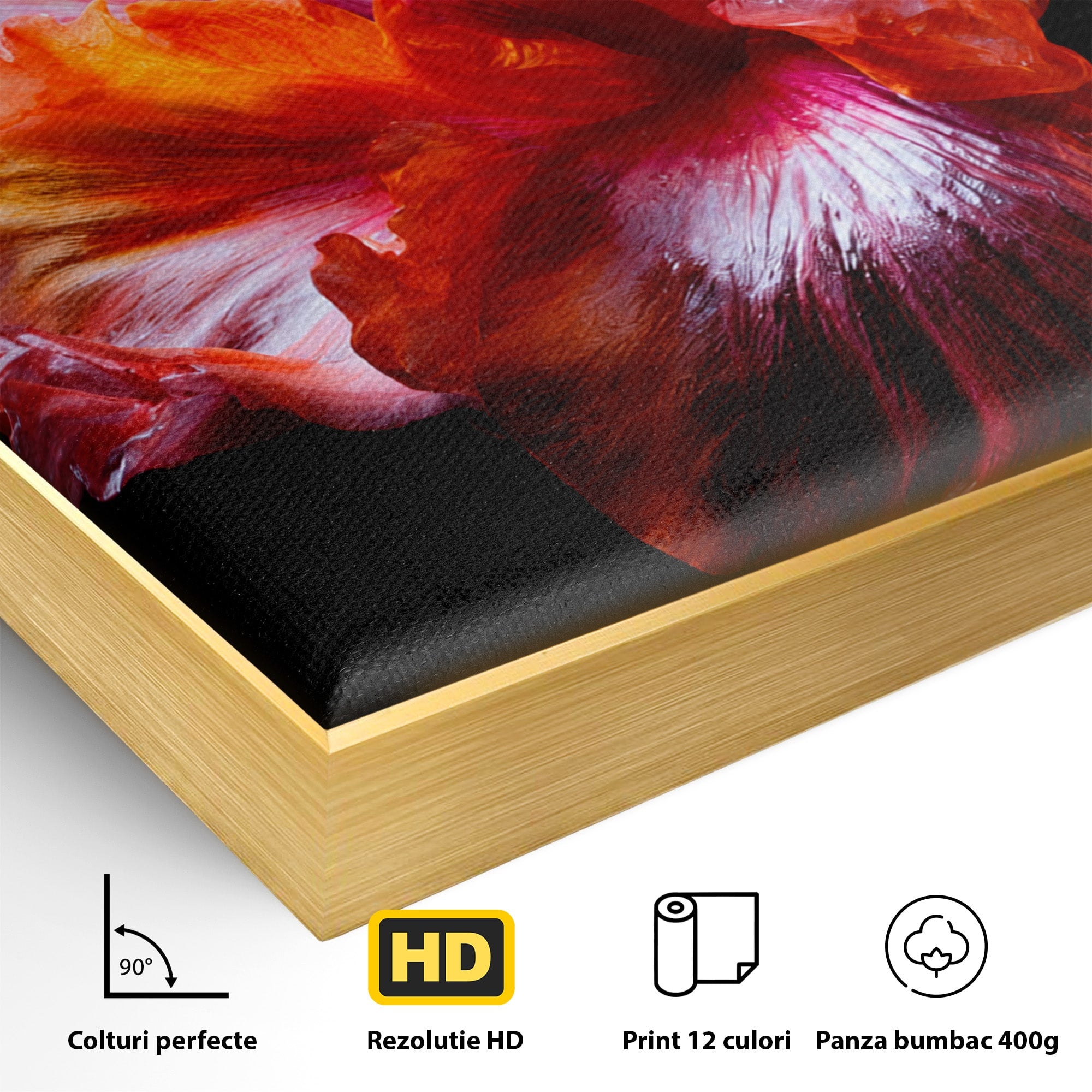 Tablou Canvas Premium LuxCanva® A1805, Floare De Hibiscus, Floare, Hibiscus, Natura, Dormitor, Living, Culori Vibrante