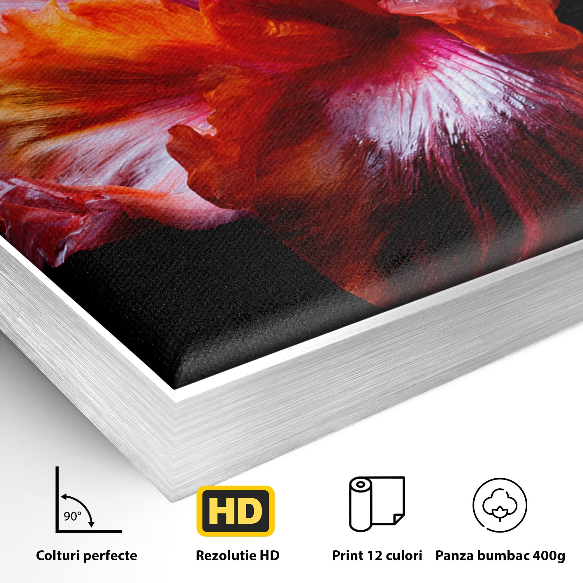 Tablou Canvas Premium LuxCanva® A1805, Floare De Hibiscus, Floare, Hibiscus, Natura, Dormitor, Living, Culori Vibrante
