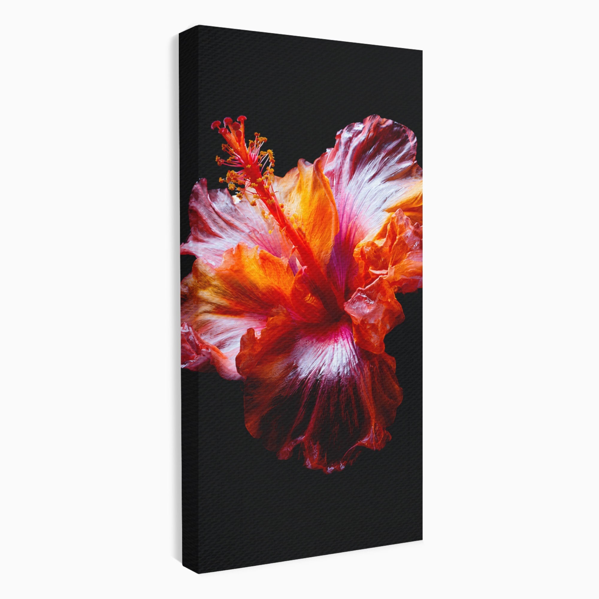Tablou Canvas Premium LuxCanva® A1805, Floare De Hibiscus, Floare, Hibiscus, Natura, Dormitor, Living, Culori Vibrante