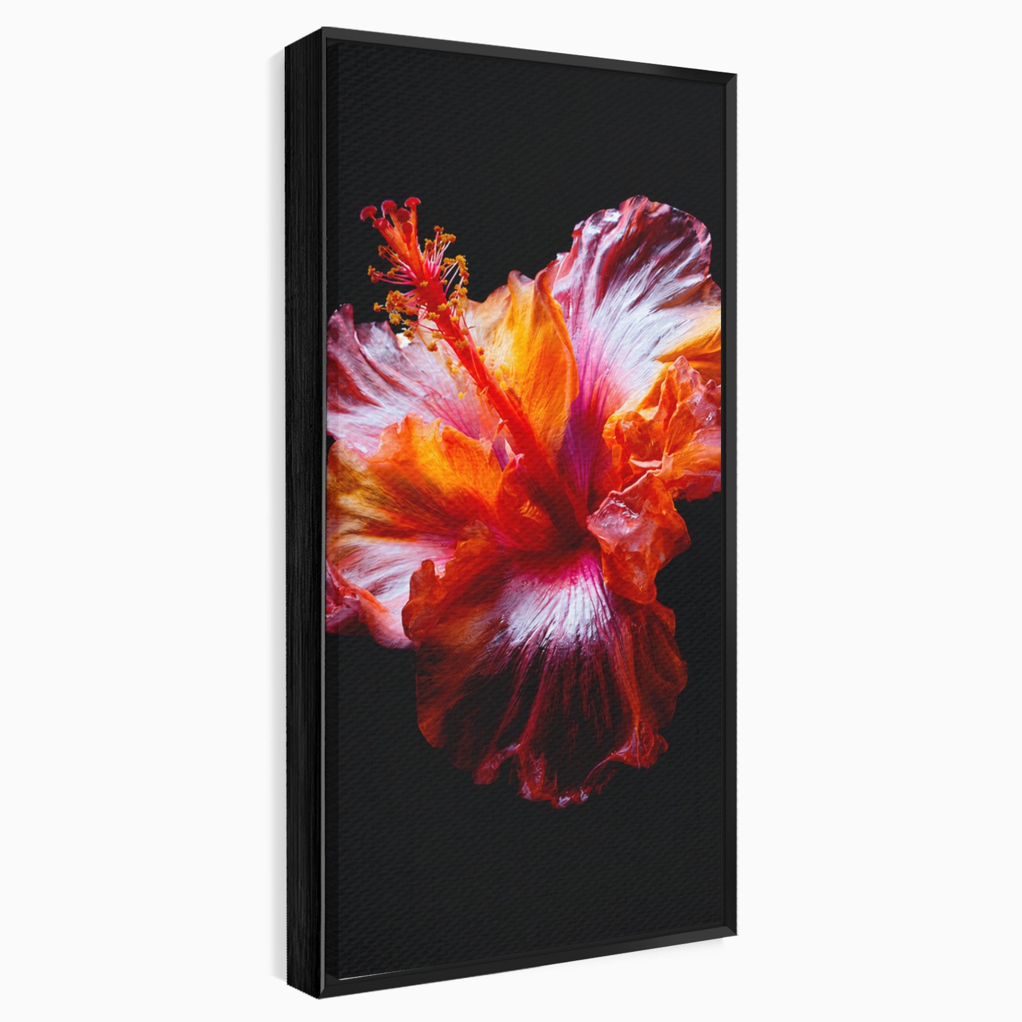 Tablou Canvas Premium LuxCanva® A1805, Floare De Hibiscus, Floare, Hibiscus, Natura, Dormitor, Living, Culori Vibrante