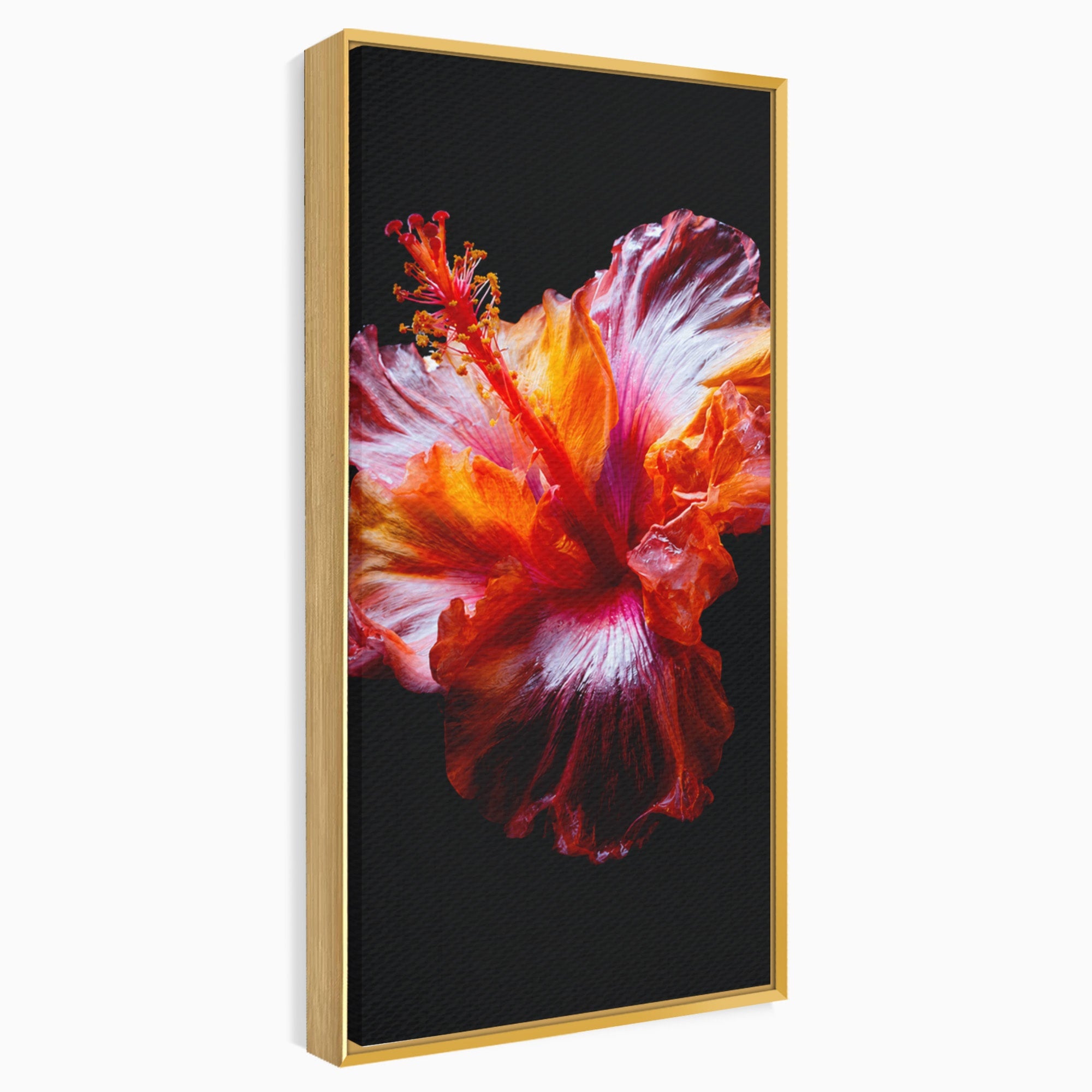 Tablou Canvas Premium LuxCanva® A1805, Floare De Hibiscus, Floare, Hibiscus, Natura, Dormitor, Living, Culori Vibrante