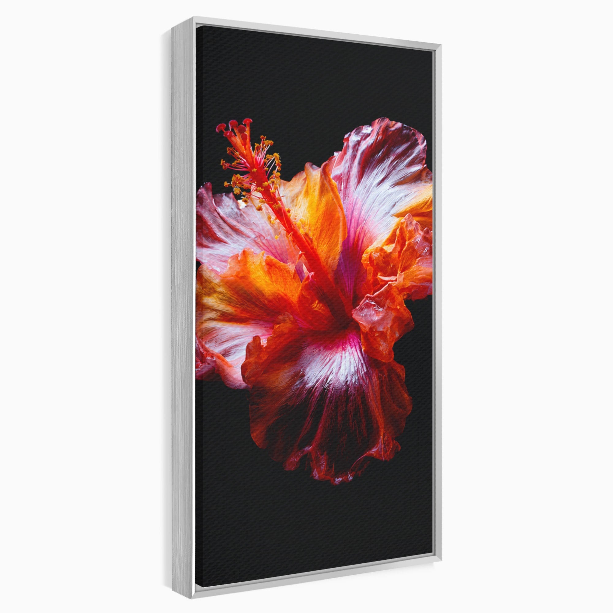 Tablou Canvas Premium LuxCanva® A1805, Floare De Hibiscus, Floare, Hibiscus, Natura, Dormitor, Living, Culori Vibrante