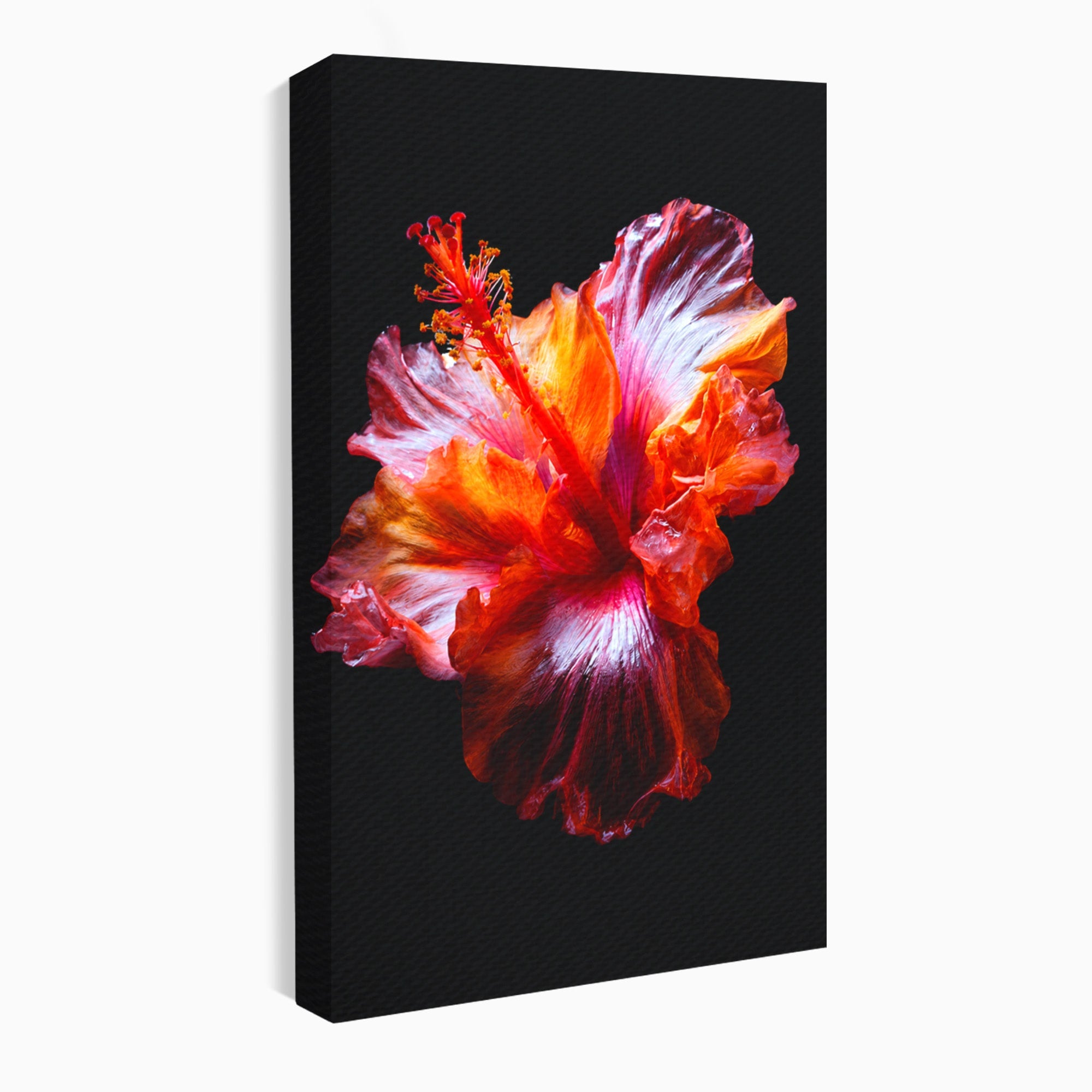 Tablou Canvas Premium LuxCanva® A1805, Floare De Hibiscus, Floare, Hibiscus, Natura, Dormitor, Living, Culori Vibrante