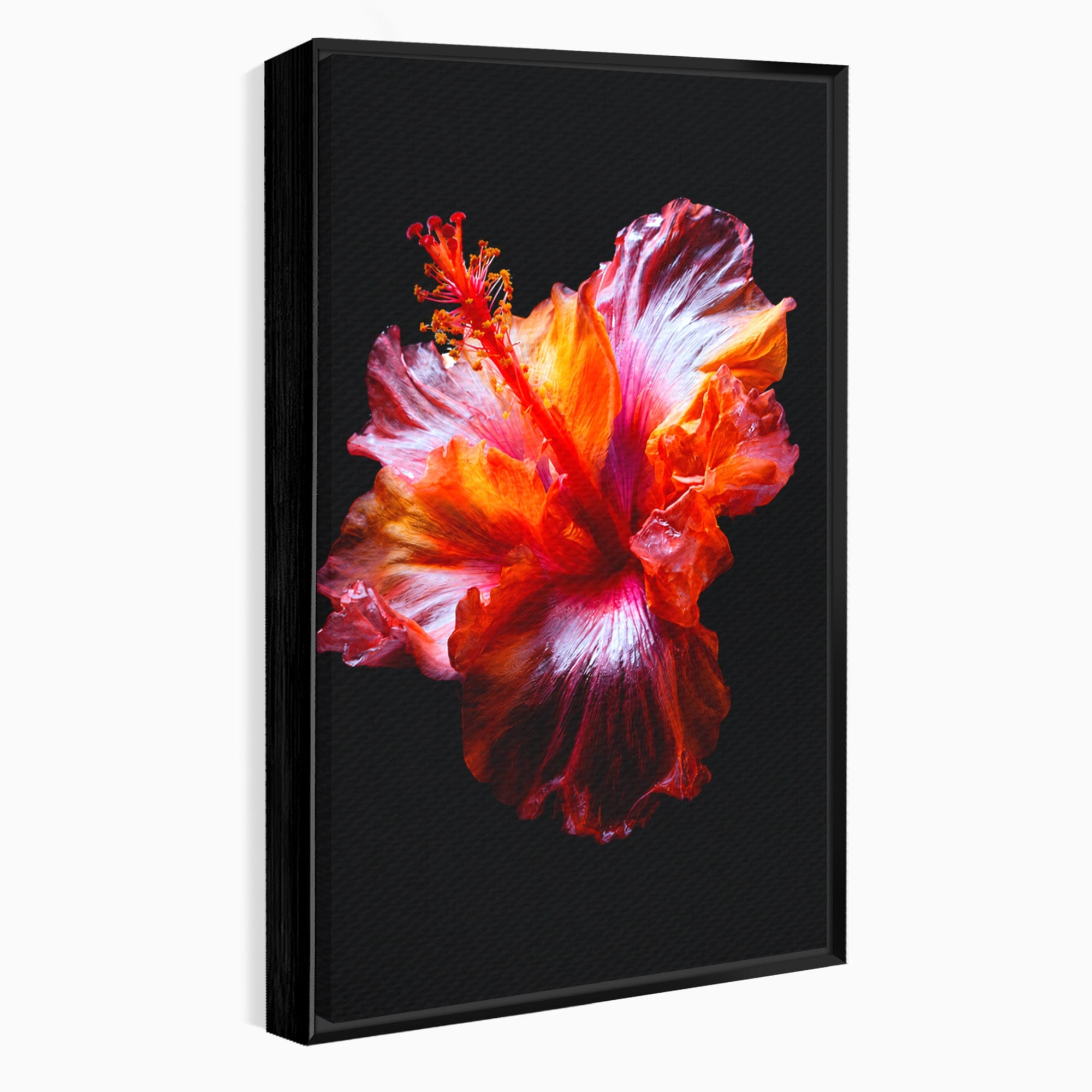 Tablou Canvas Premium LuxCanva® A1805, Floare De Hibiscus, Floare, Hibiscus, Natura, Dormitor, Living, Culori Vibrante