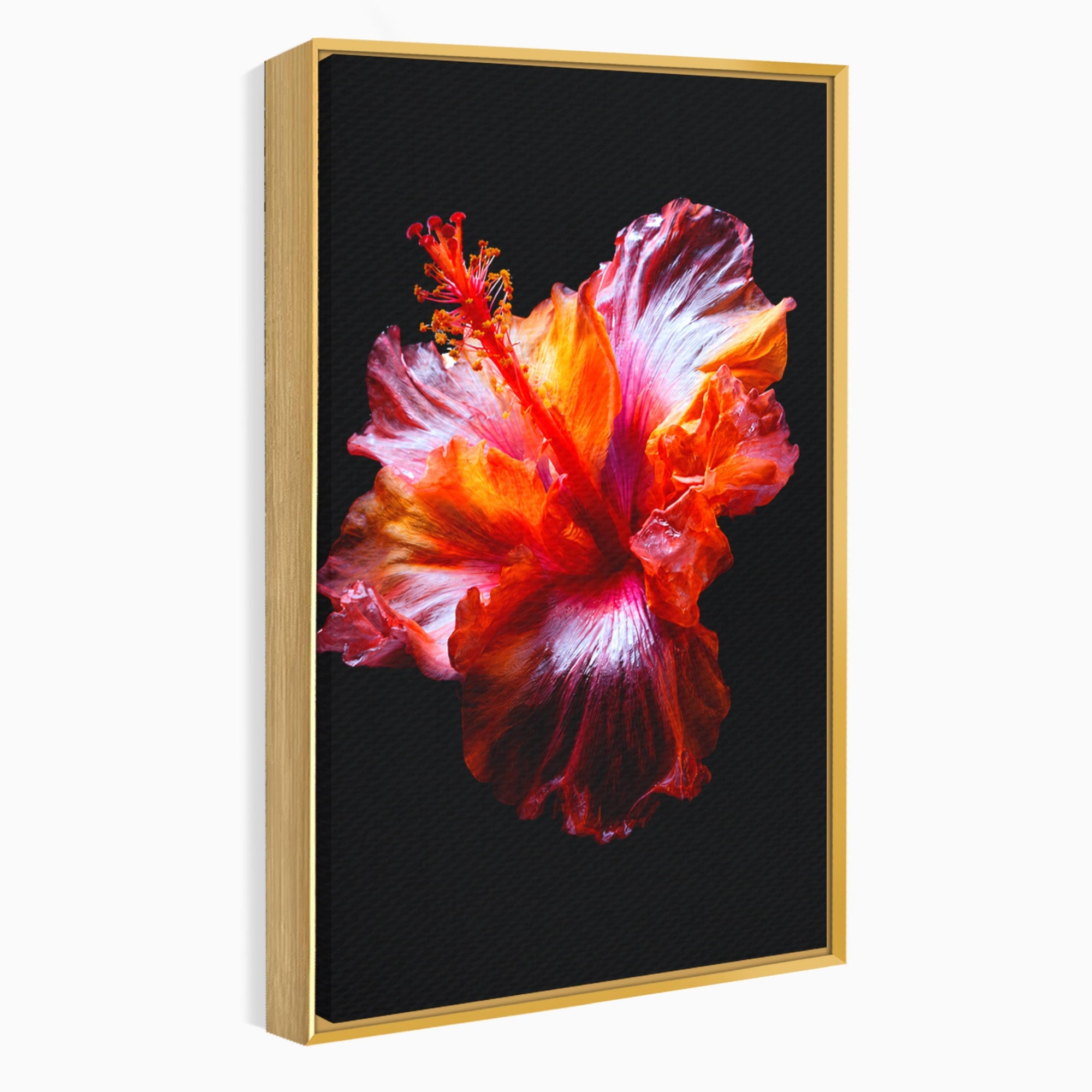 Tablou Canvas Premium LuxCanva® A1805, Floare De Hibiscus, Floare, Hibiscus, Natura, Dormitor, Living, Culori Vibrante