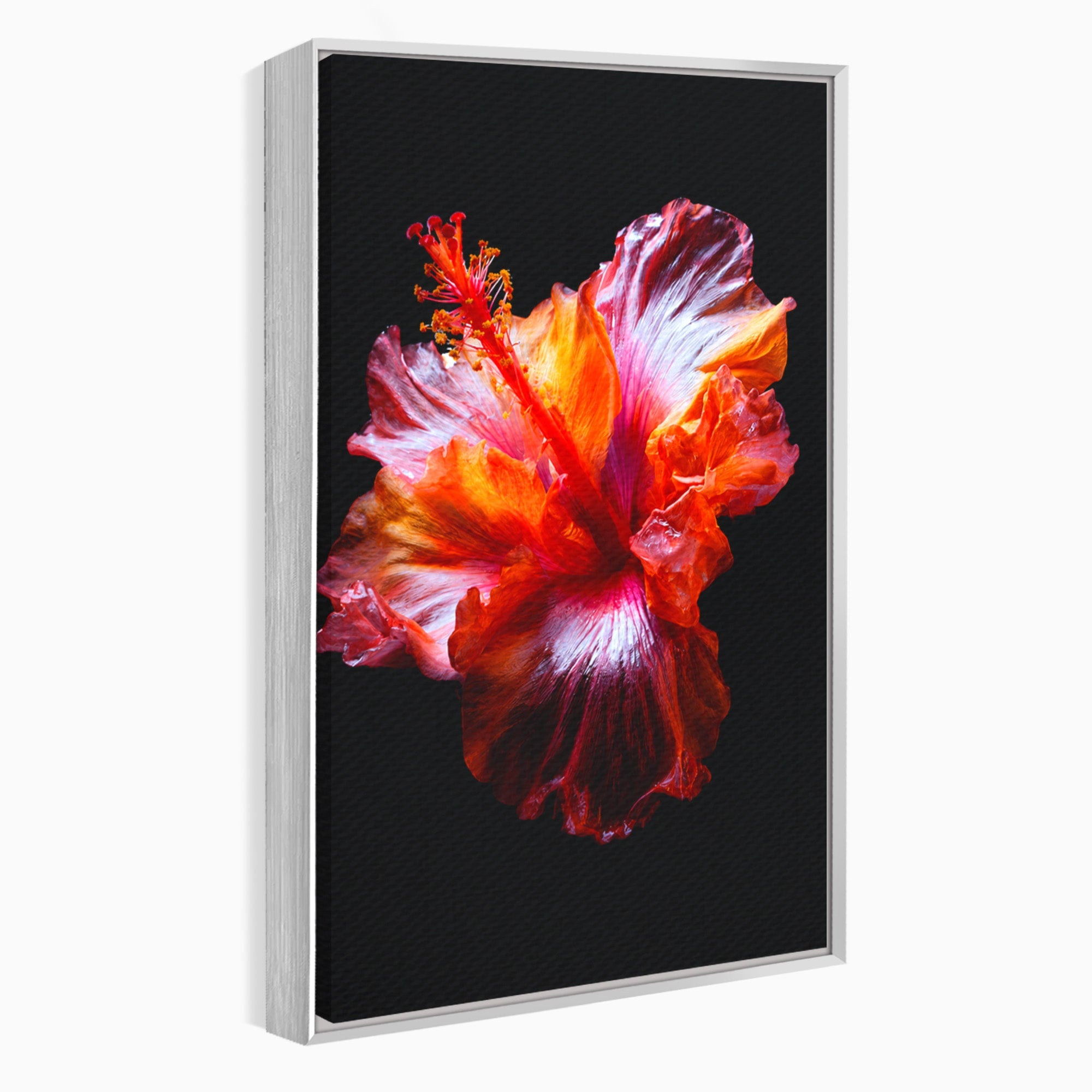 Tablou Canvas Premium LuxCanva® A1805, Floare De Hibiscus, Floare, Hibiscus, Natura, Dormitor, Living, Culori Vibrante