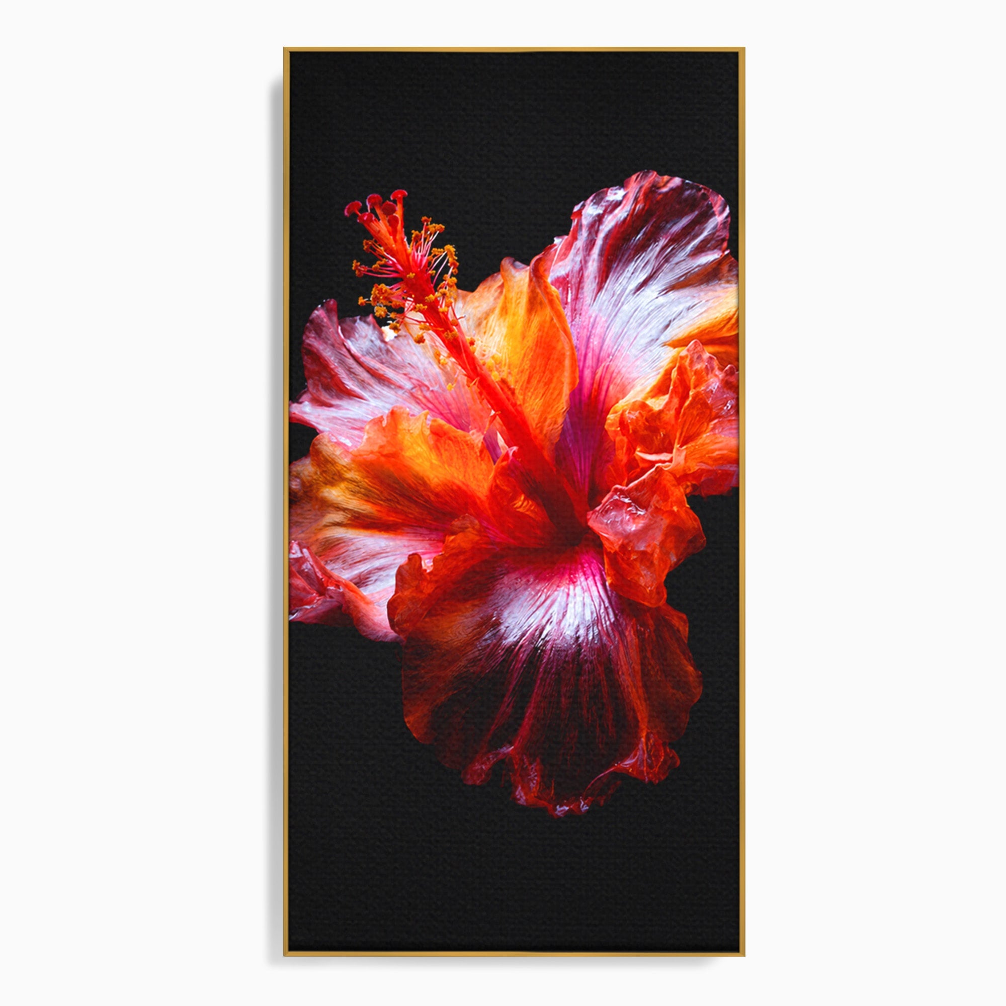 Tablou Canvas Premium LuxCanva® A1805, Floare De Hibiscus, Floare, Hibiscus, Natura, Dormitor, Living, Culori Vibrante
