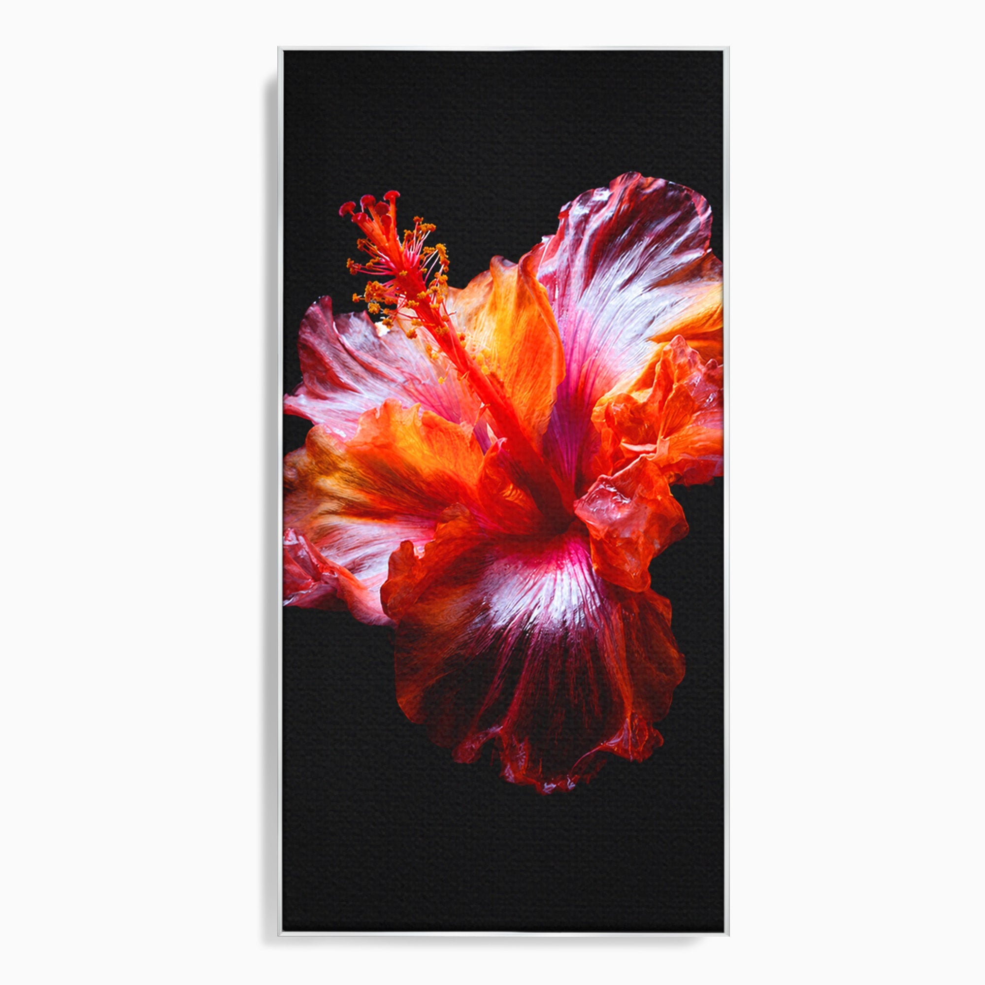Tablou Canvas Premium LuxCanva® A1805, Floare De Hibiscus, Floare, Hibiscus, Natura, Dormitor, Living, Culori Vibrante