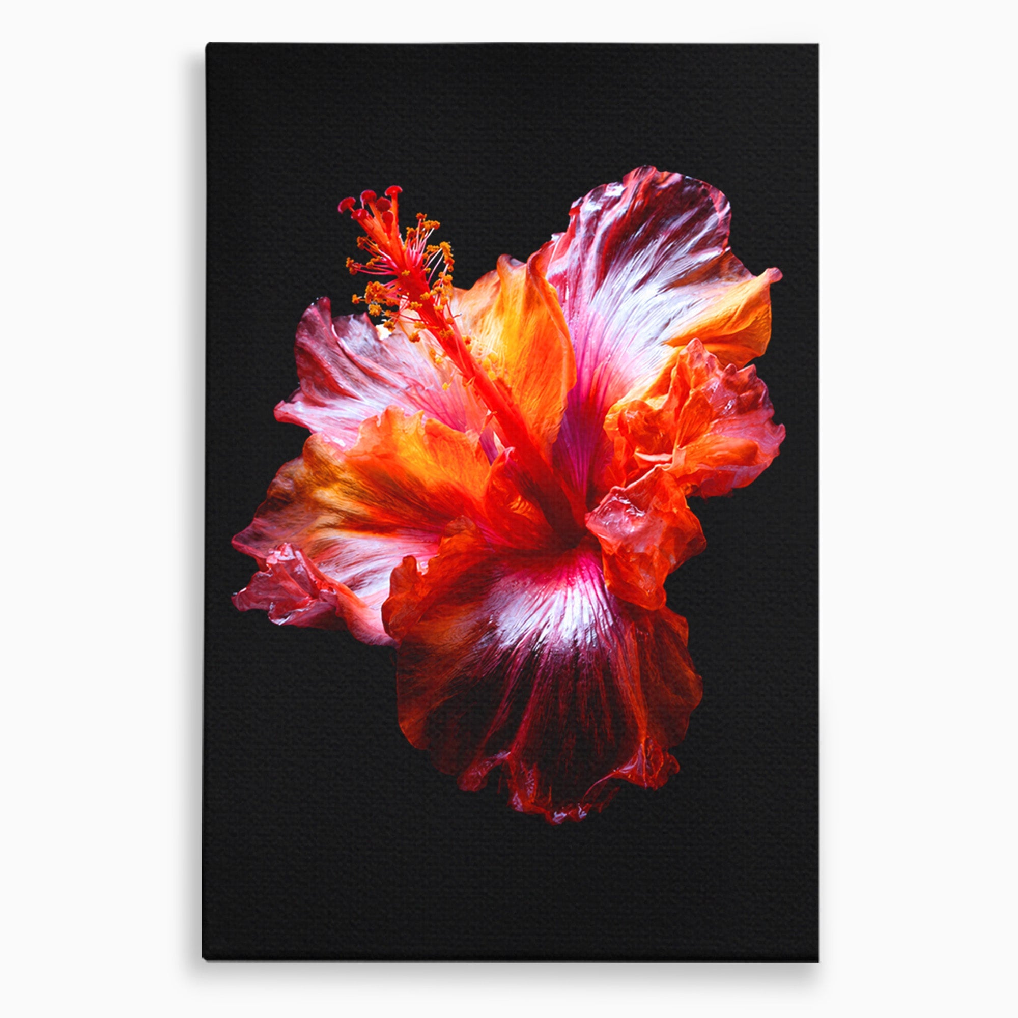 Tablou Canvas Premium LuxCanva® A1805, Floare De Hibiscus, Floare, Hibiscus, Natura, Dormitor, Living, Culori Vibrante